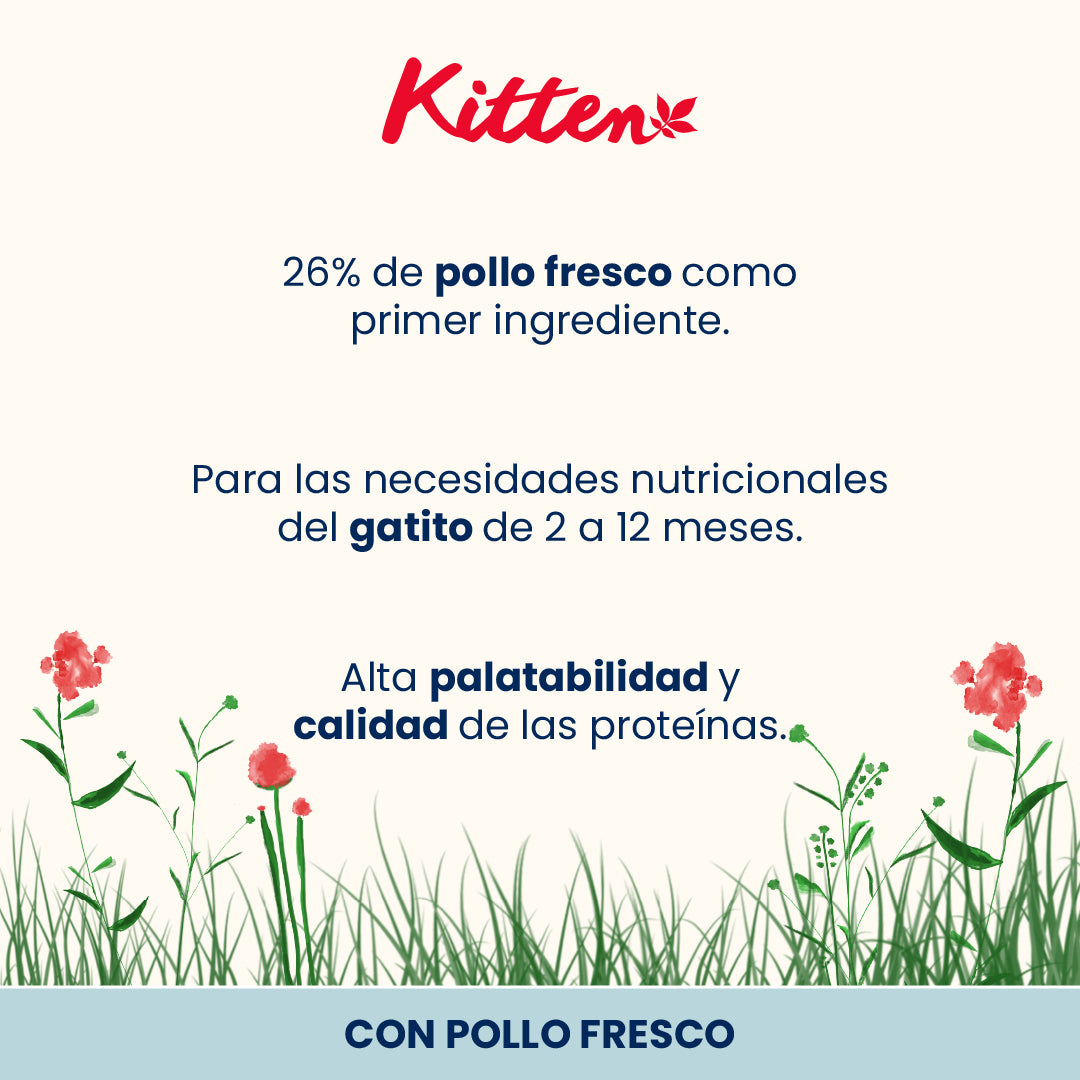 Banner promocional Almo Nature Intestinal Help Cordero Pienso para Gatos