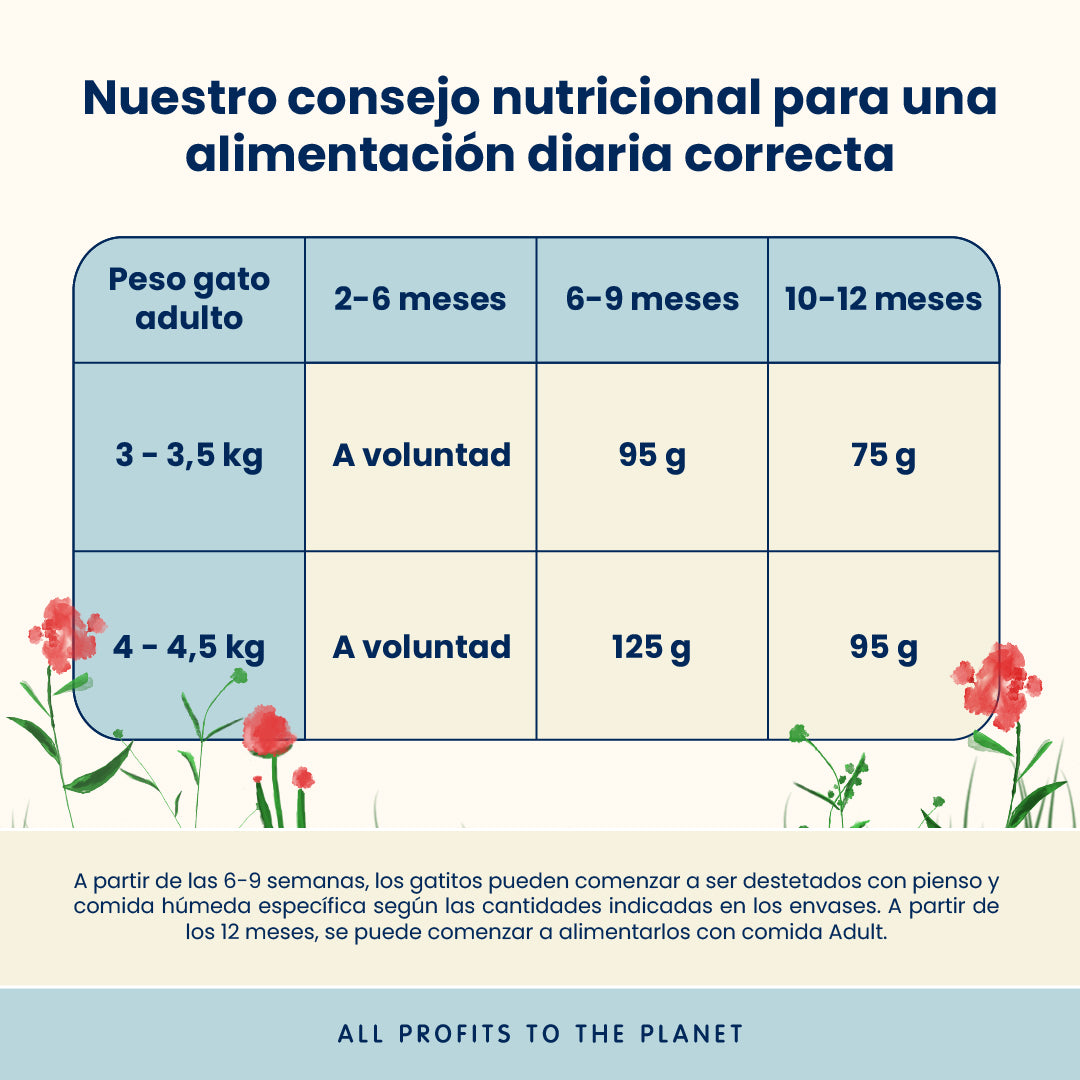 Almo Nature Kitten Pollo Pienso para Gatos