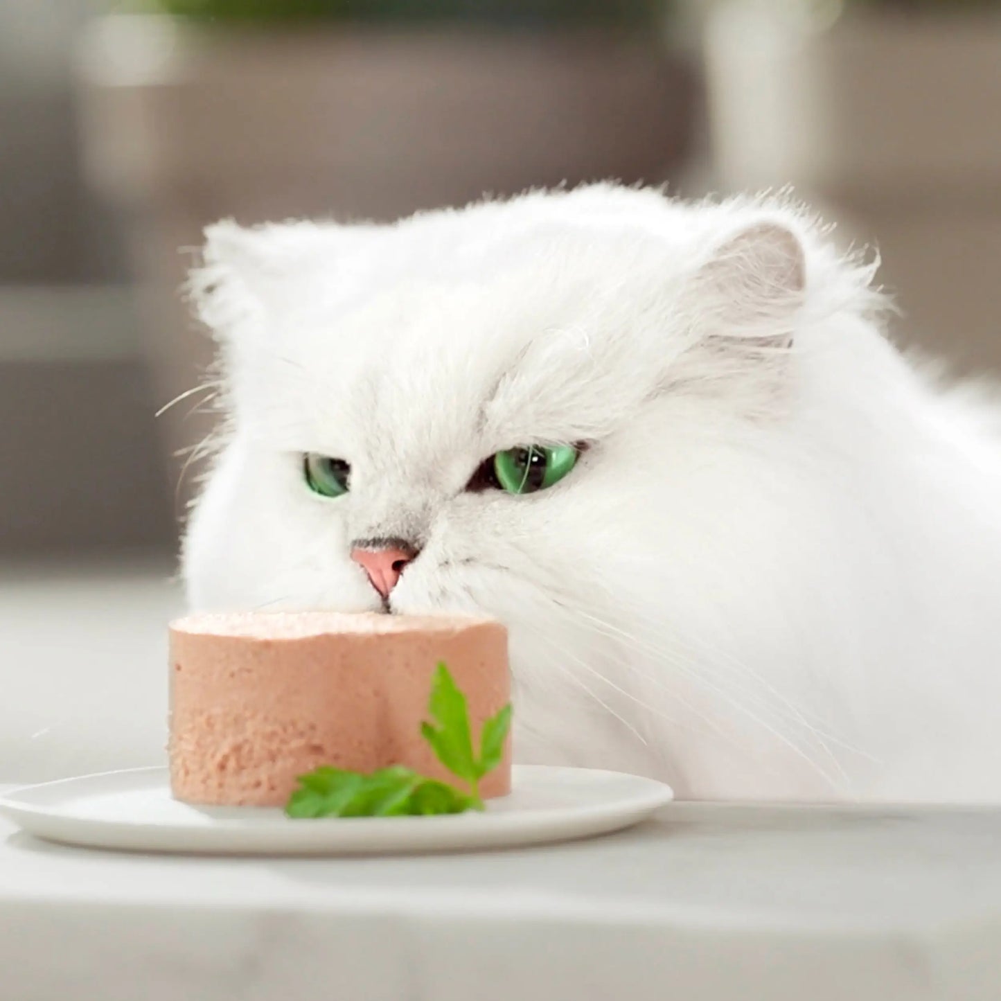 Gourmet Gold Terrine Pollo 85 g PURINA