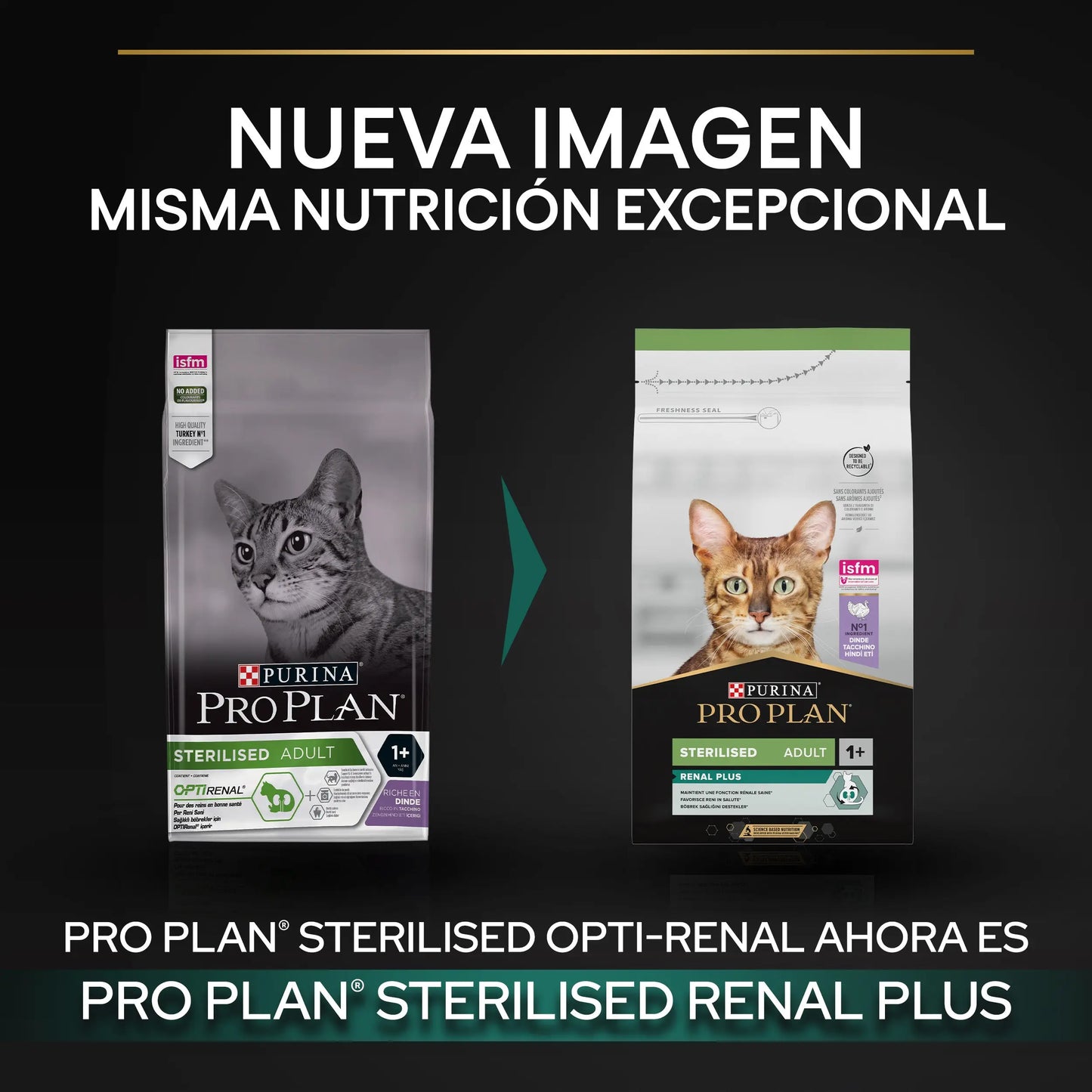 Pro Plan Cat Sterilised Adult Renal+ Pavo Pienso para Gatos Esterilizados PURINA