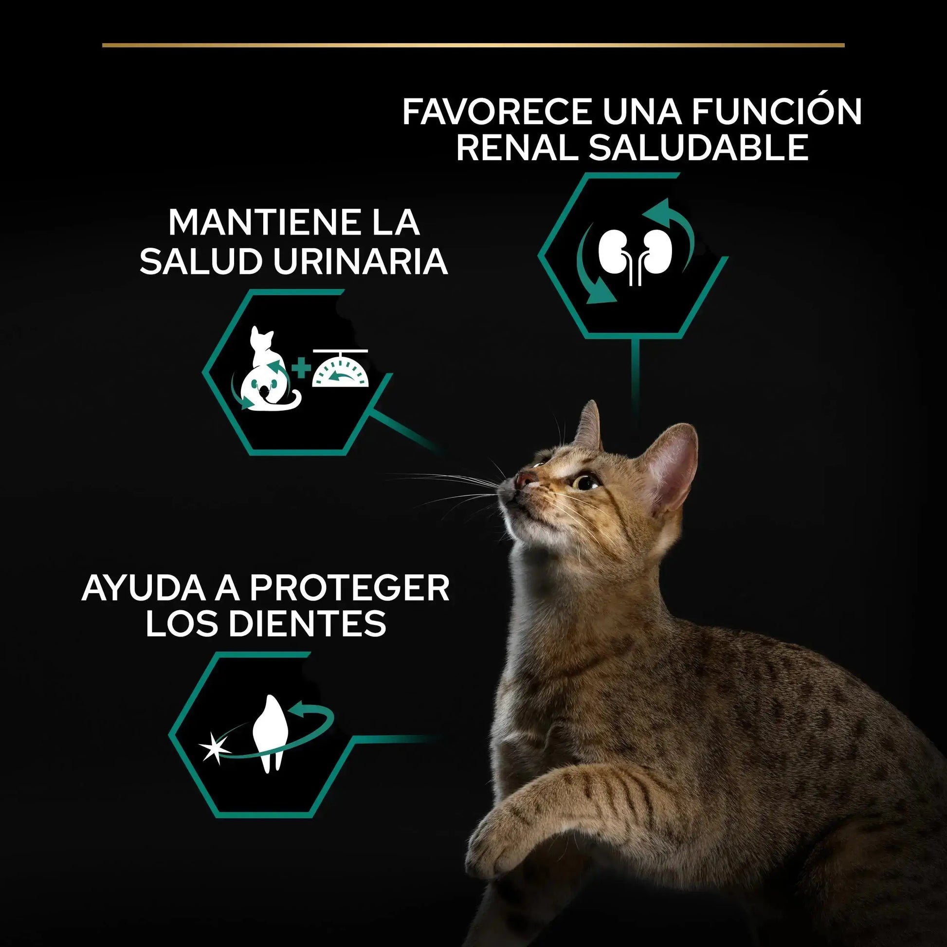 Pro Plan Cat Sterilized Adult Renal+ Salmón 3 kg PURINA