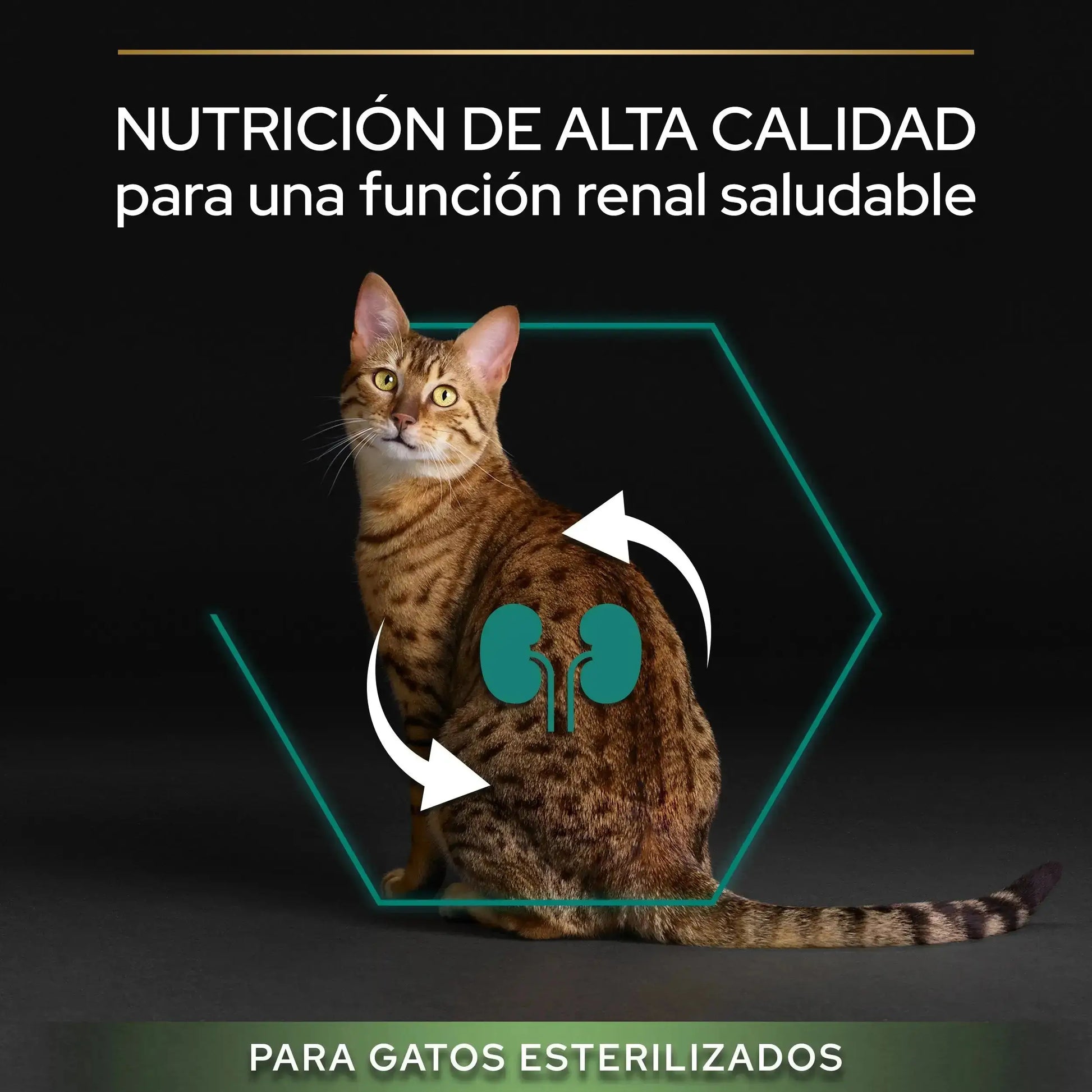 Pro Plan Cat Sterilized Adult Renal+ Salmón 3 kg PURINA