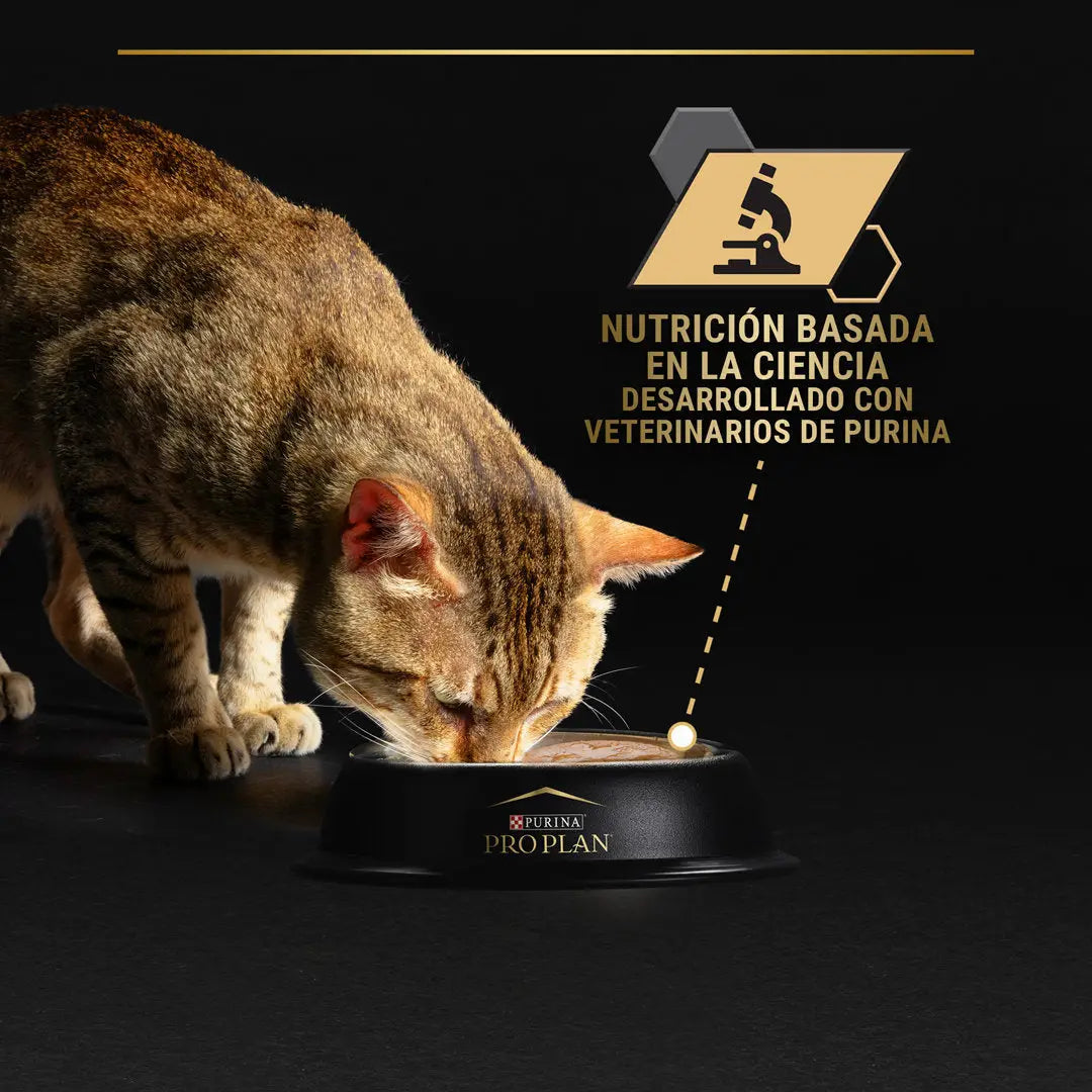 Pro Plan Cat Lata Senior 7+ Atún 85 g PURINA
