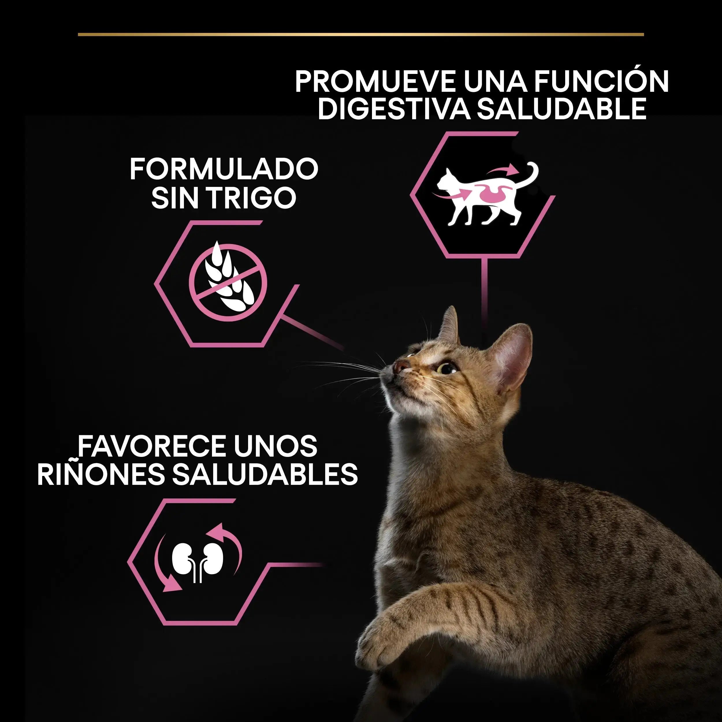 Pro Plan Cat Adult Delicate Digest Pavo 3 kg PURINA