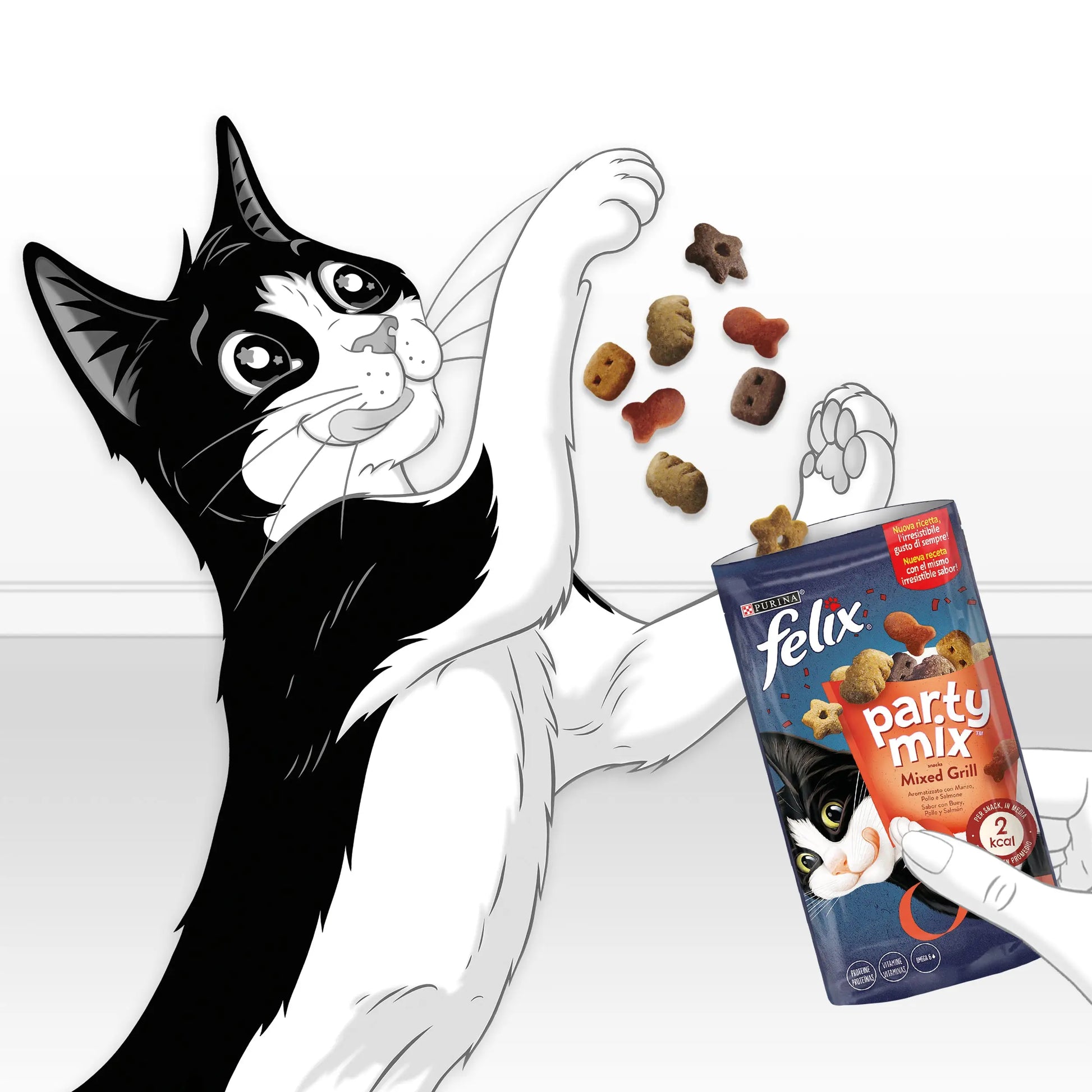 Felix Party Mix Mixed Grill 60 g FELIX
