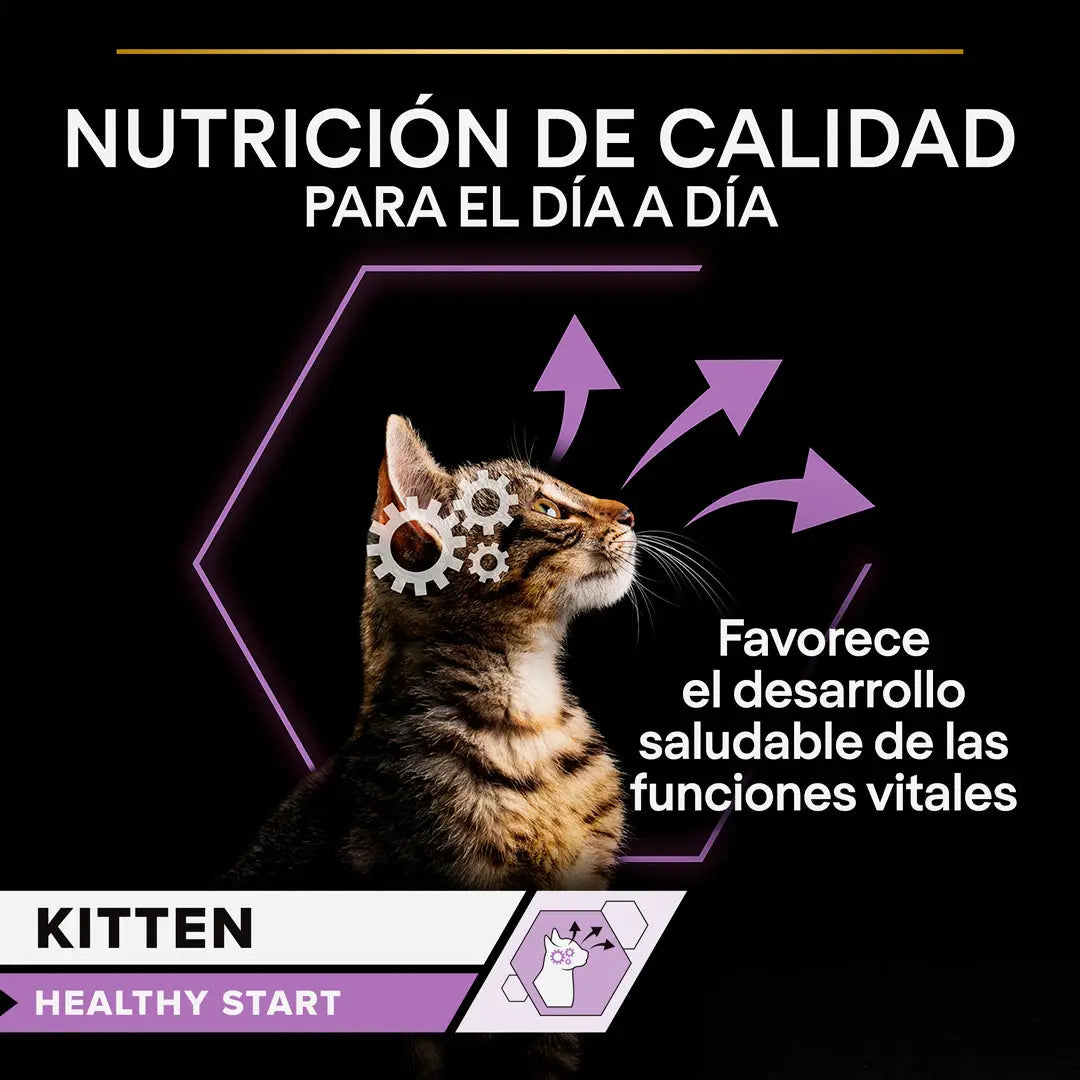 Pro Plan Cat Sobre Kitten Pavo 85 g PURINA