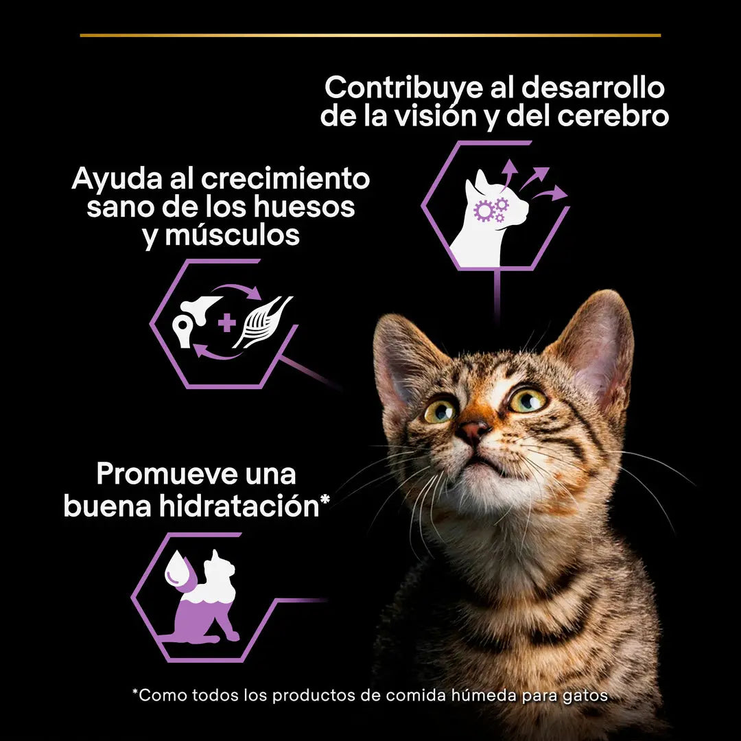 Pro Plan Cat Sobre Kitten Pavo 85 g PURINA