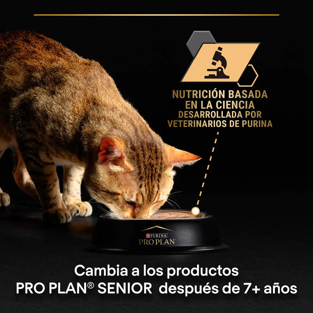 Pro Plan Cat Sobre Delicate Pescado Pack 10x85 g PURINA