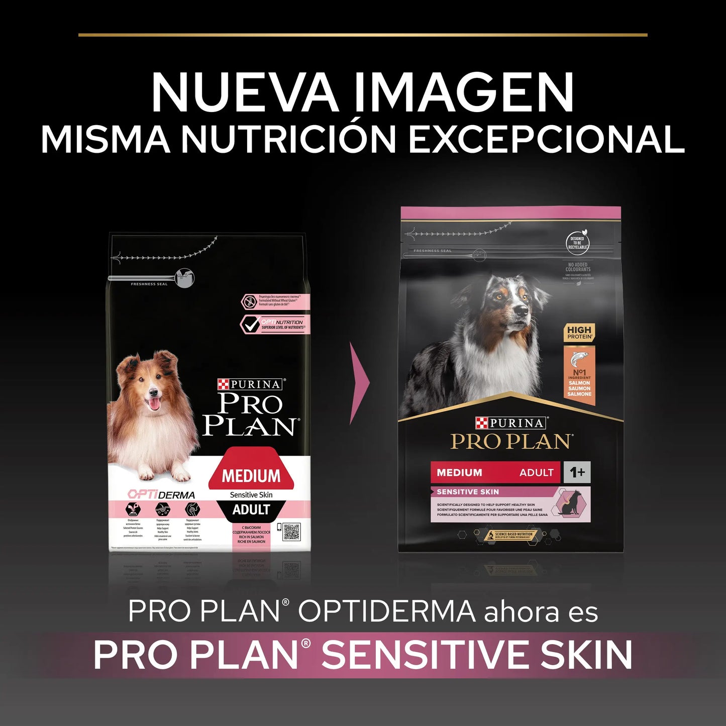 Pro Plan Dog Medium Adult Skin Salmón 3 kg PURINA