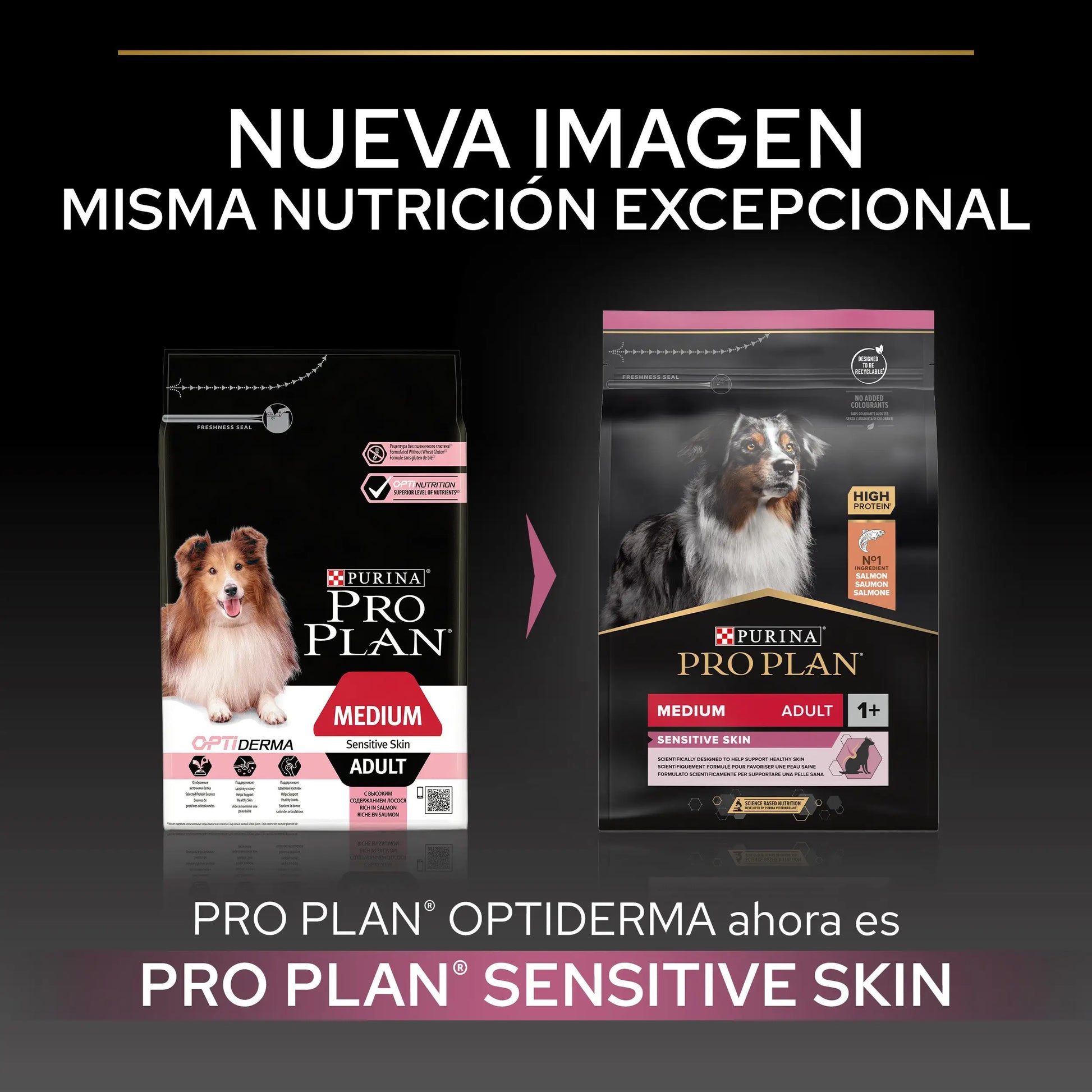 Pro Plan Dog Medium Adult Skin Salmón 3 kg PURINA