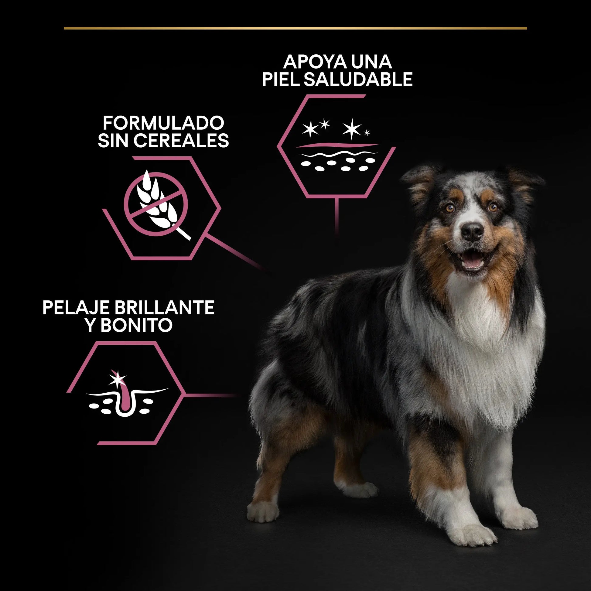 Pro Plan Dog Medium Adult Skin Salmón 3 kg PURINA