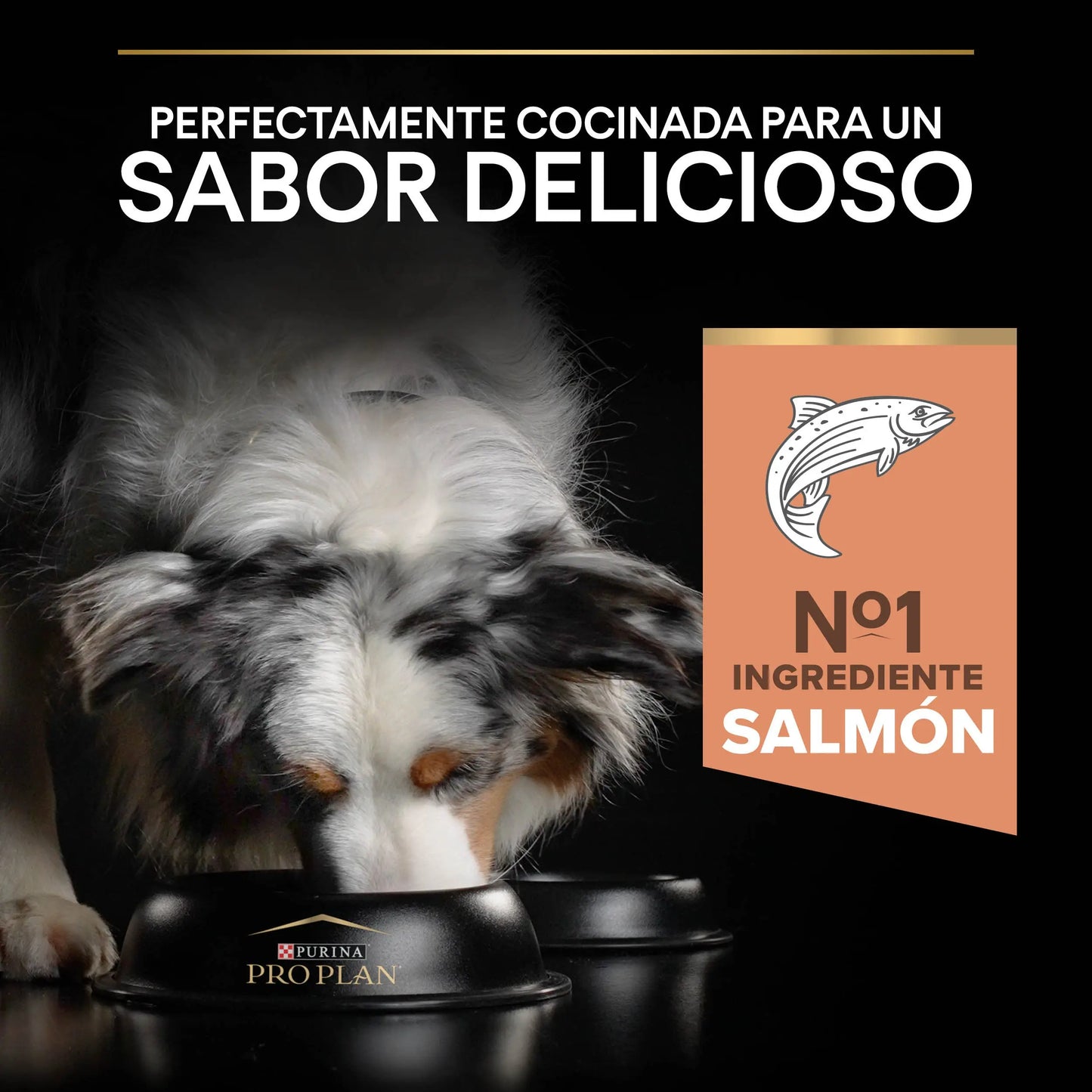 Pro Plan Dog Medium Adult Skin Salmón 3 kg PURINA