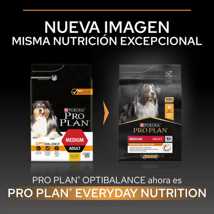 Pro Plan Dog Medium Adult Pollo 3 kg PURINA