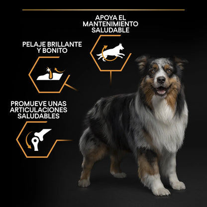 Pro Plan Dog Medium Adult Pollo 3 kg PURINA