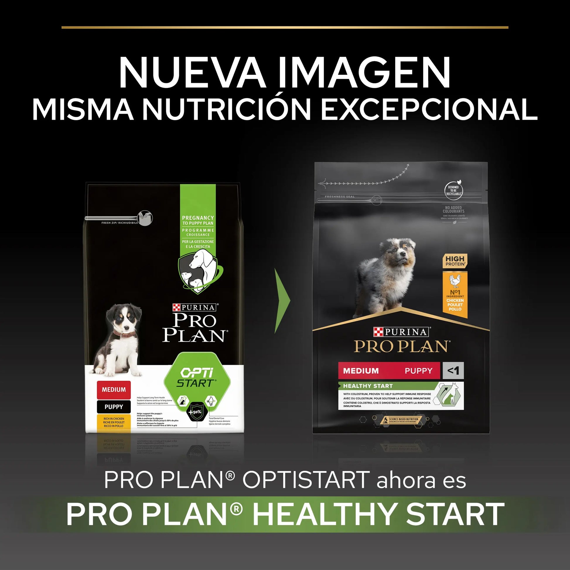 Pro Plan Dog Medium Puppy Start Pollo 3 kg PURINA