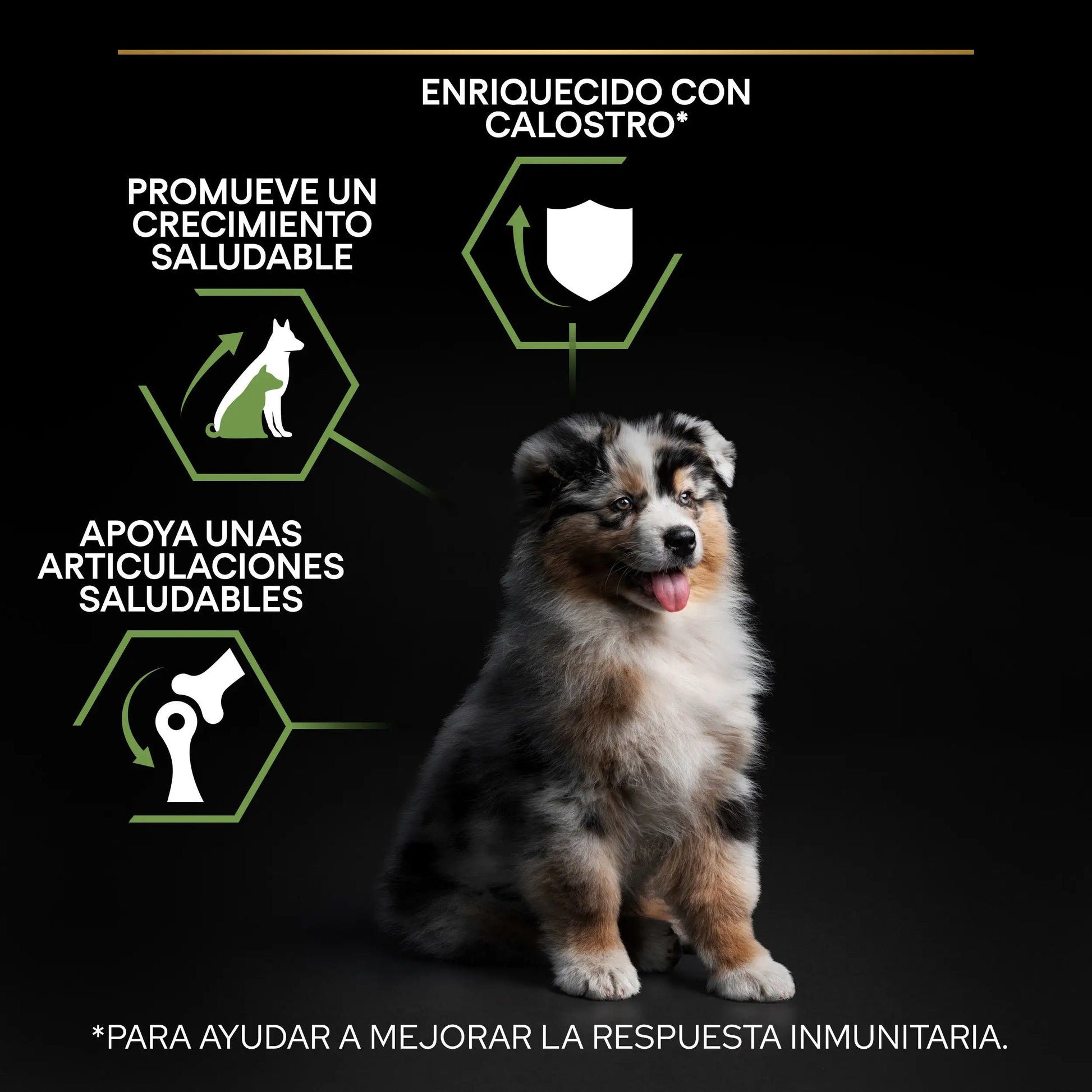 Pro Plan Dog Medium Puppy Start Pollo 3 kg PURINA