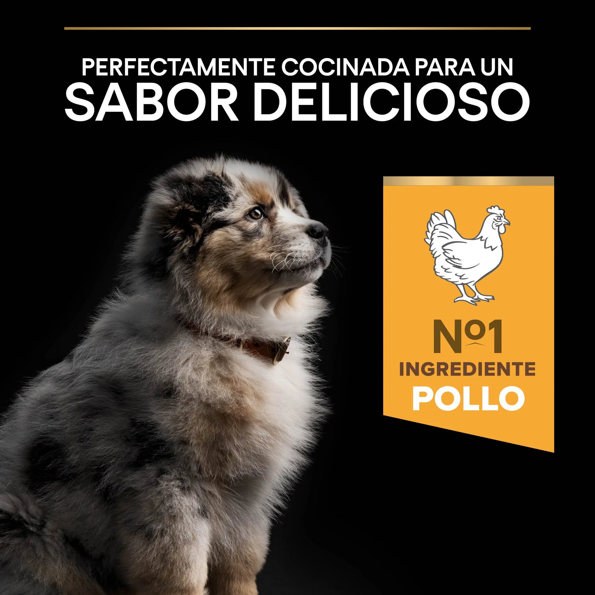 Pro Plan Dog Medium Puppy Start Pollo 3 kg PURINA