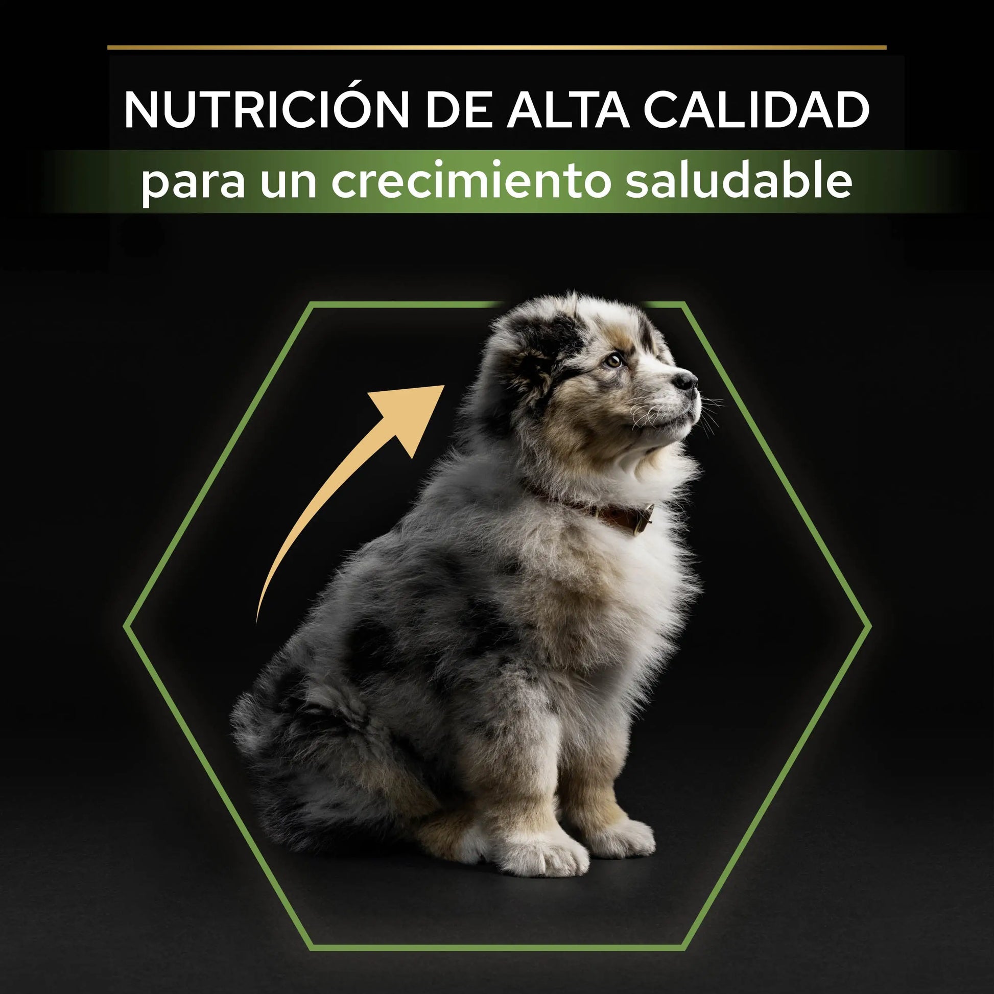 Pro Plan Dog Medium Puppy Start Pollo 3 kg PURINA