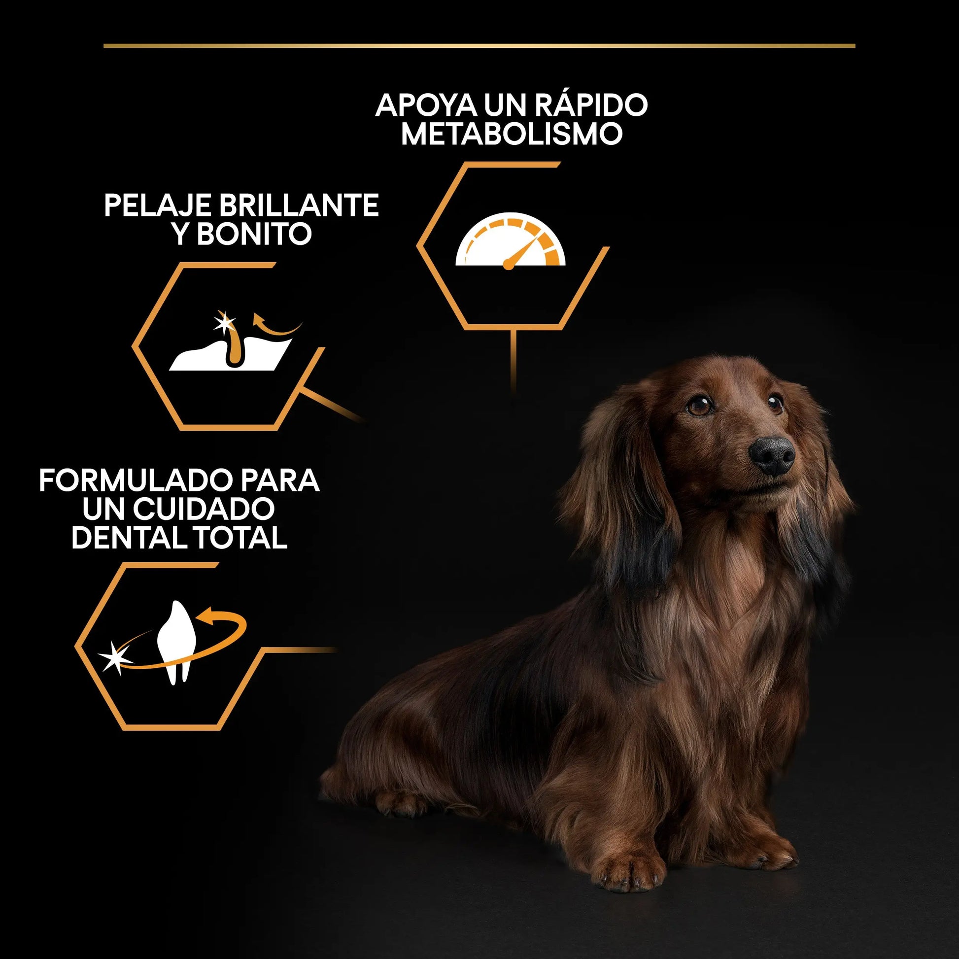 Pro Plan Dog Small y Mini Adult Pollo Pienso para Perros PURINA