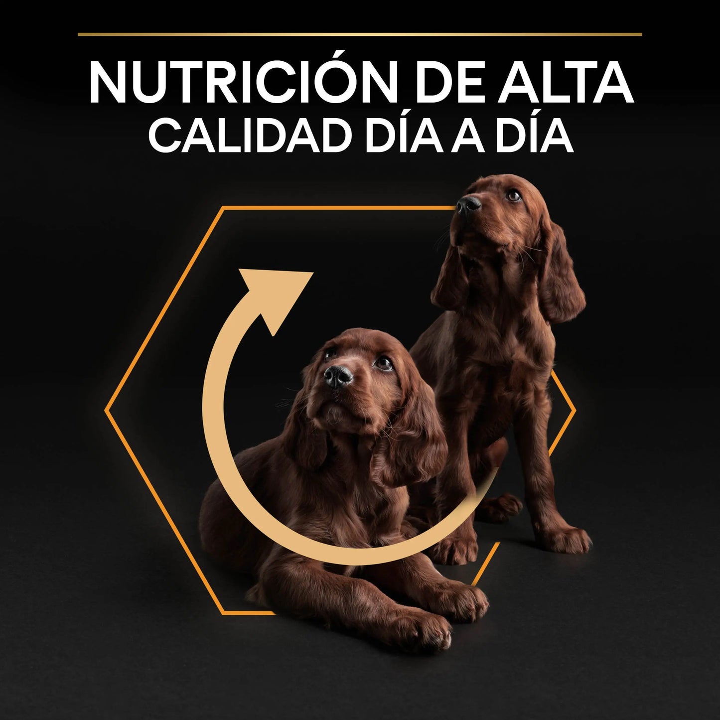Pro Plan Dog Small y Mini Adult Pollo Pienso para Perros PURINA