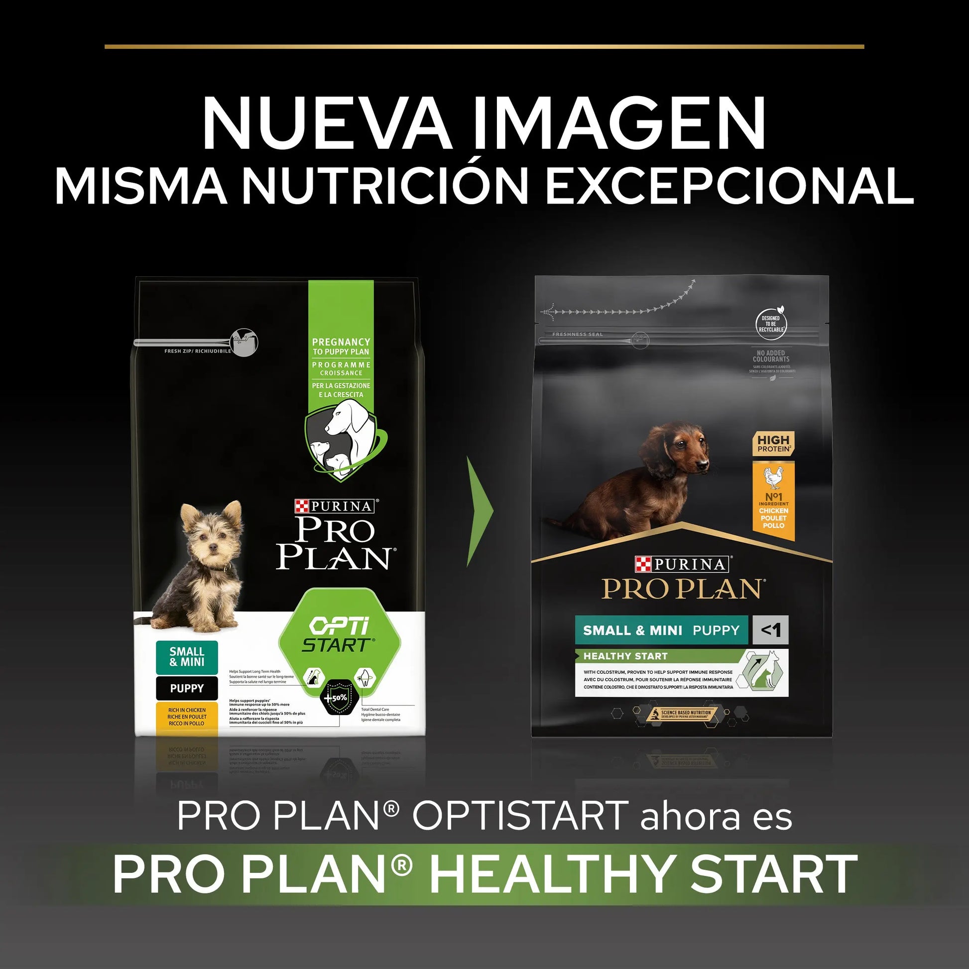 Pro Plan Dog Puppy Small & Mini Healthy Start Pollo Pienso para Cachorros PURINA