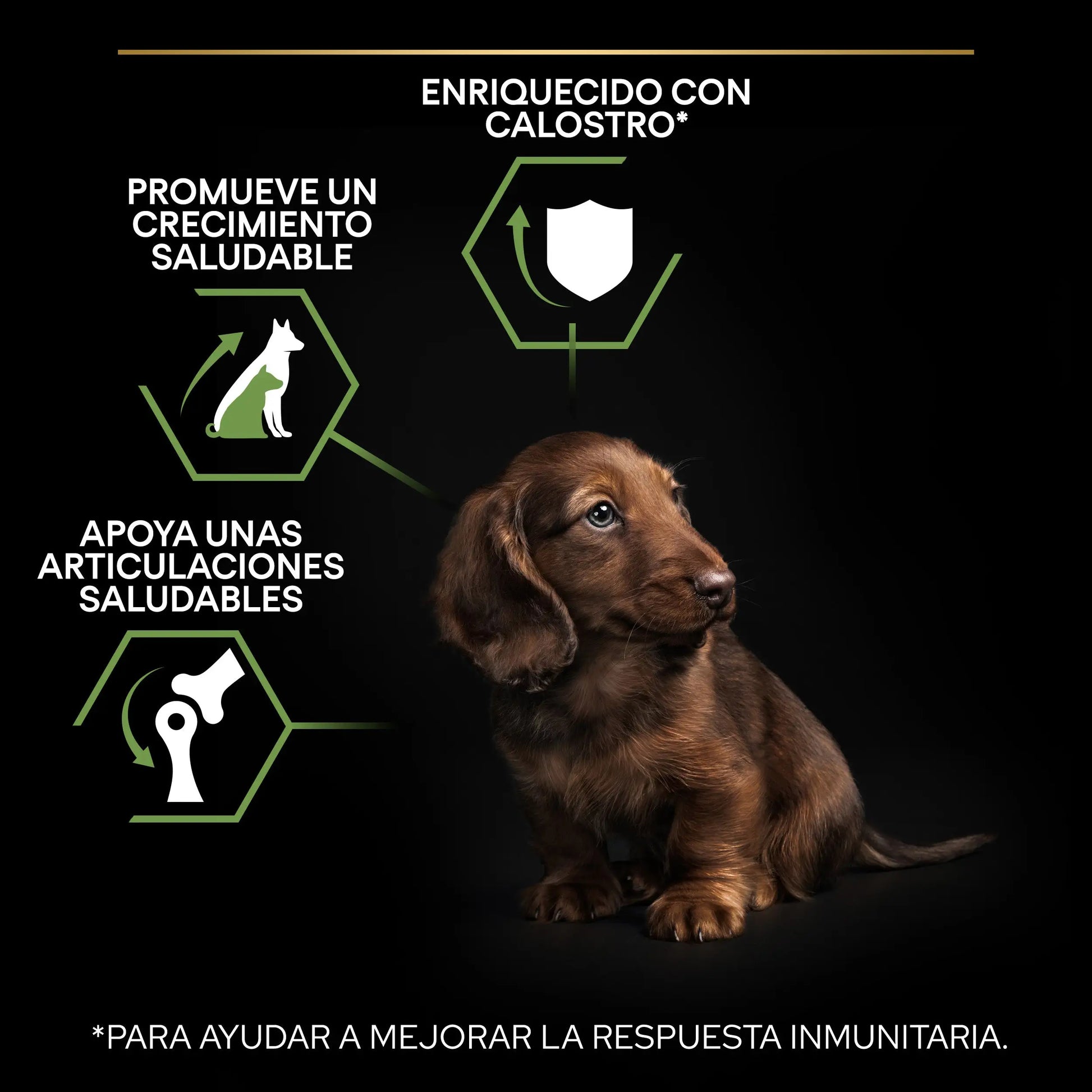 Pro Plan Dog Puppy Small & Mini Healthy Start Pollo Pienso para Cachorros PURINA