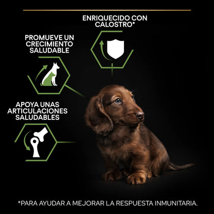 Pro Plan Dog Puppy Small & Mini Healthy Start Pollo Pienso para Cachorros PURINA