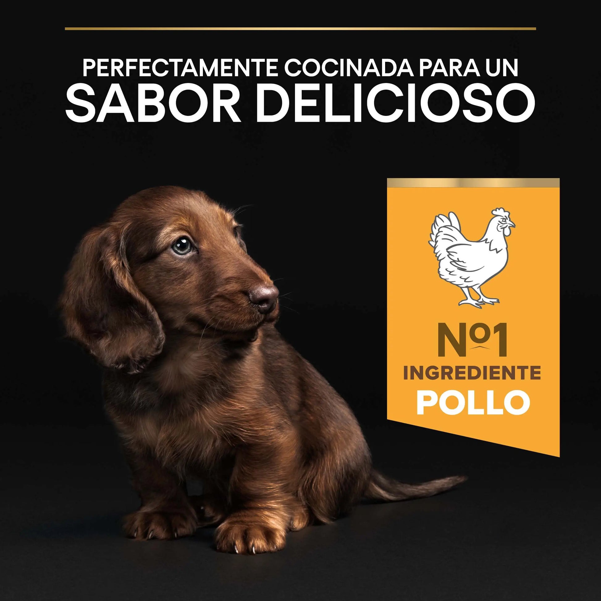 Pro Plan Dog Puppy Small & Mini Healthy Start Pollo Pienso para Cachorros PURINA