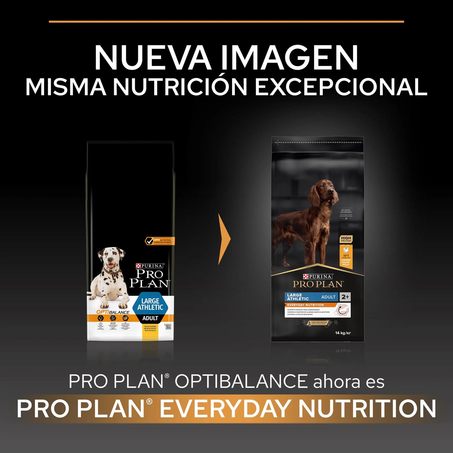 Pro Plan Dog Large Athletic Adult Pollo 14 kg+2,5 kg gratis PURINA
