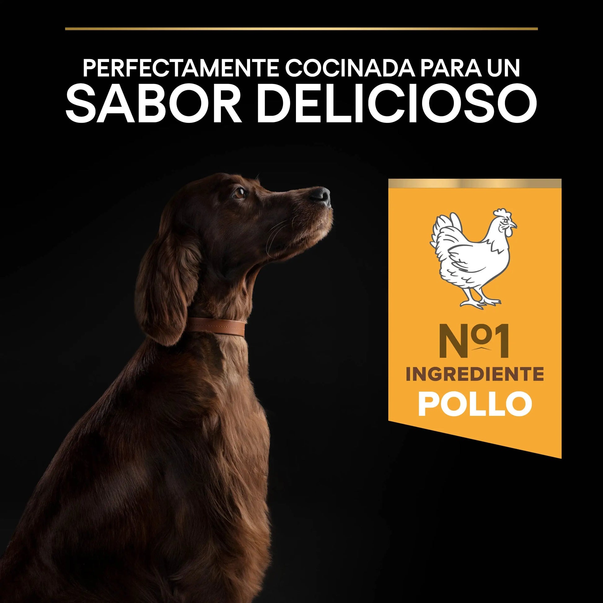 Pro Plan Dog Large Athletic Adult Pollo 14 kg+2,5 kg gratis PURINA
