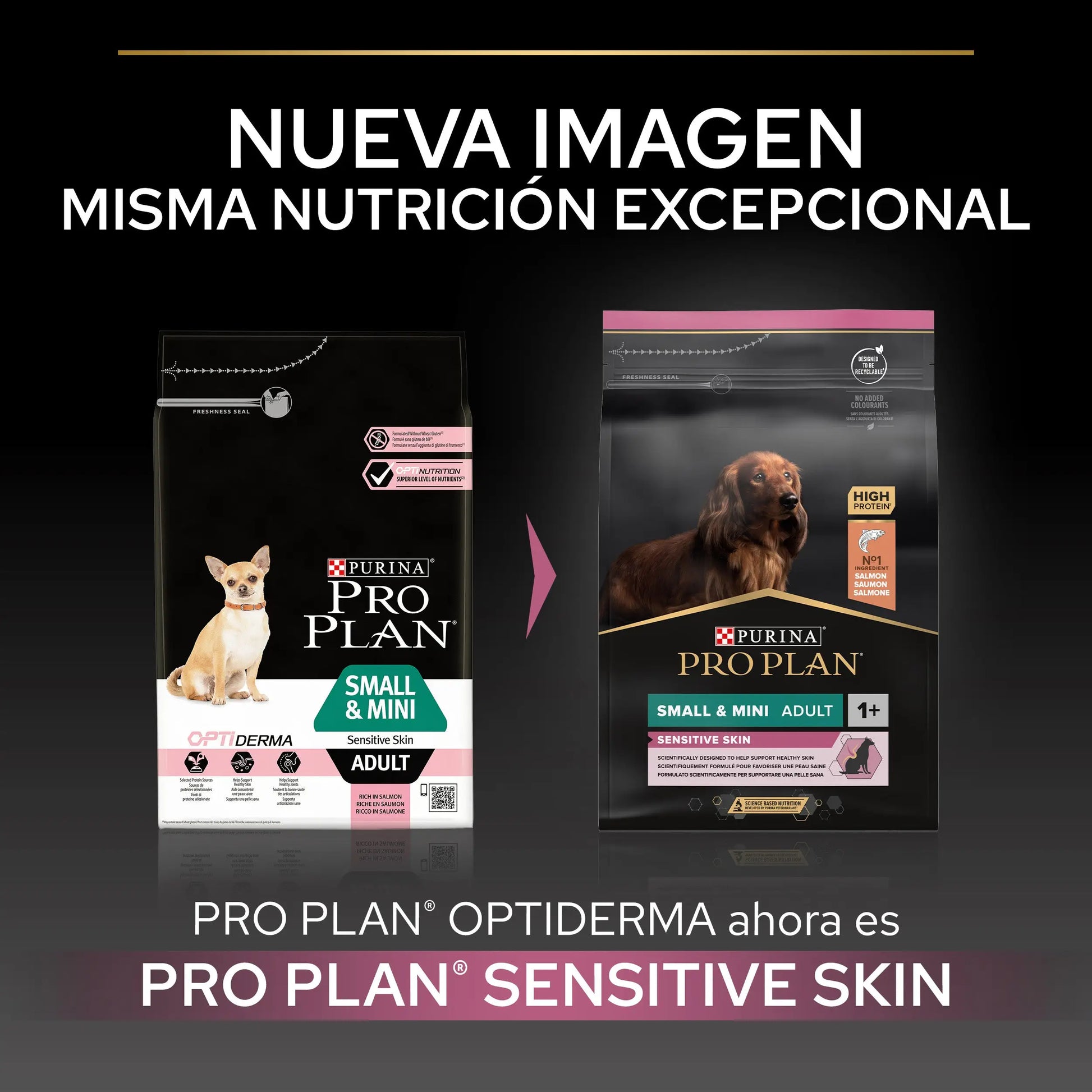 Pro Plan Dog Small & Mini Adult Skin Salmón Pienso para Perros PURINA