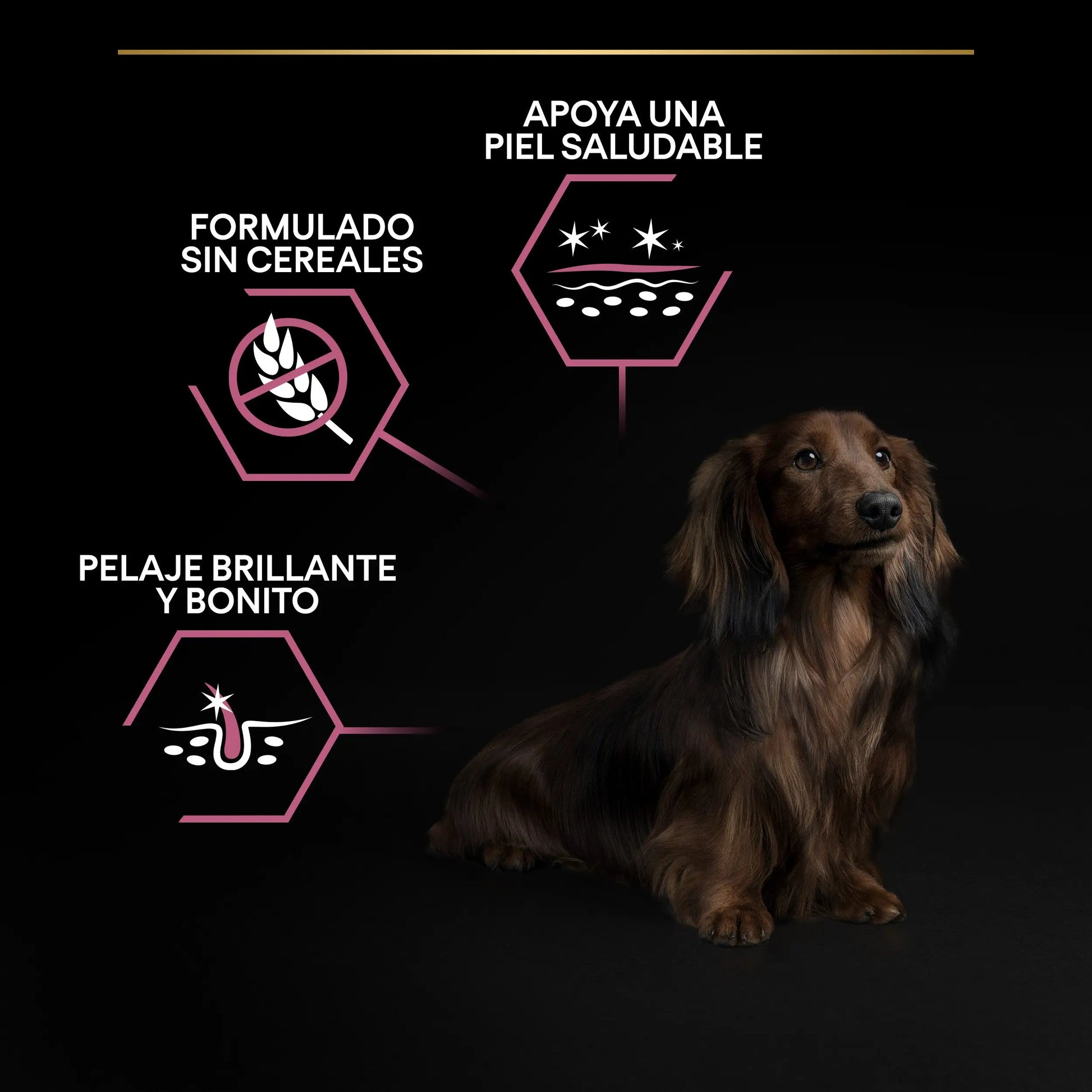 Pro Plan Dog Small & Mini Adult Skin Salmón Pienso para Perros PURINA