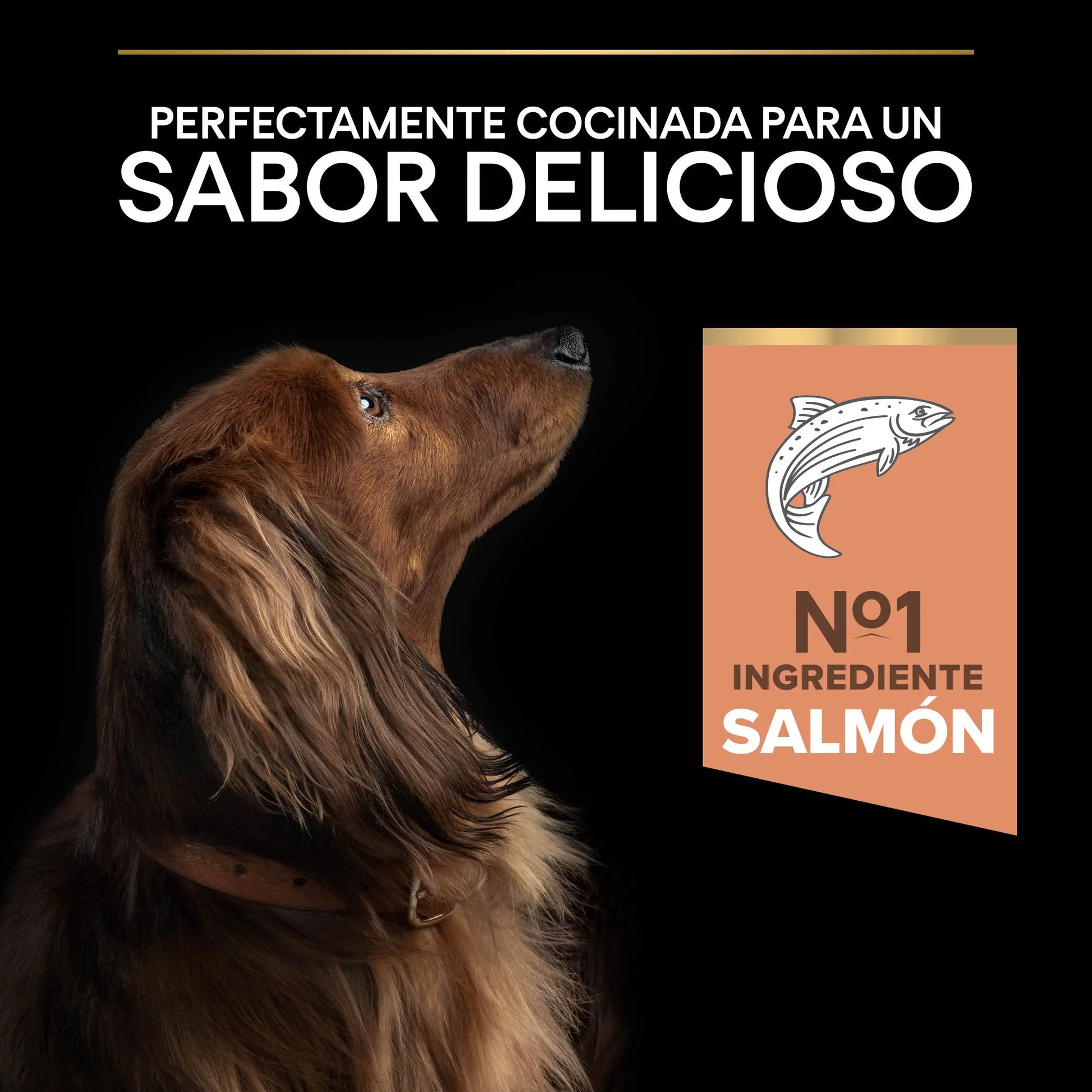 Pro Plan Dog Small & Mini Adult Skin Salmón Pienso para Perros PURINA
