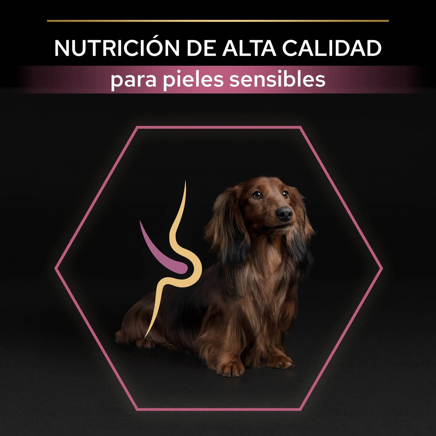 Pro Plan Dog Small & Mini Adult Skin Salmón Pienso para Perros PURINA