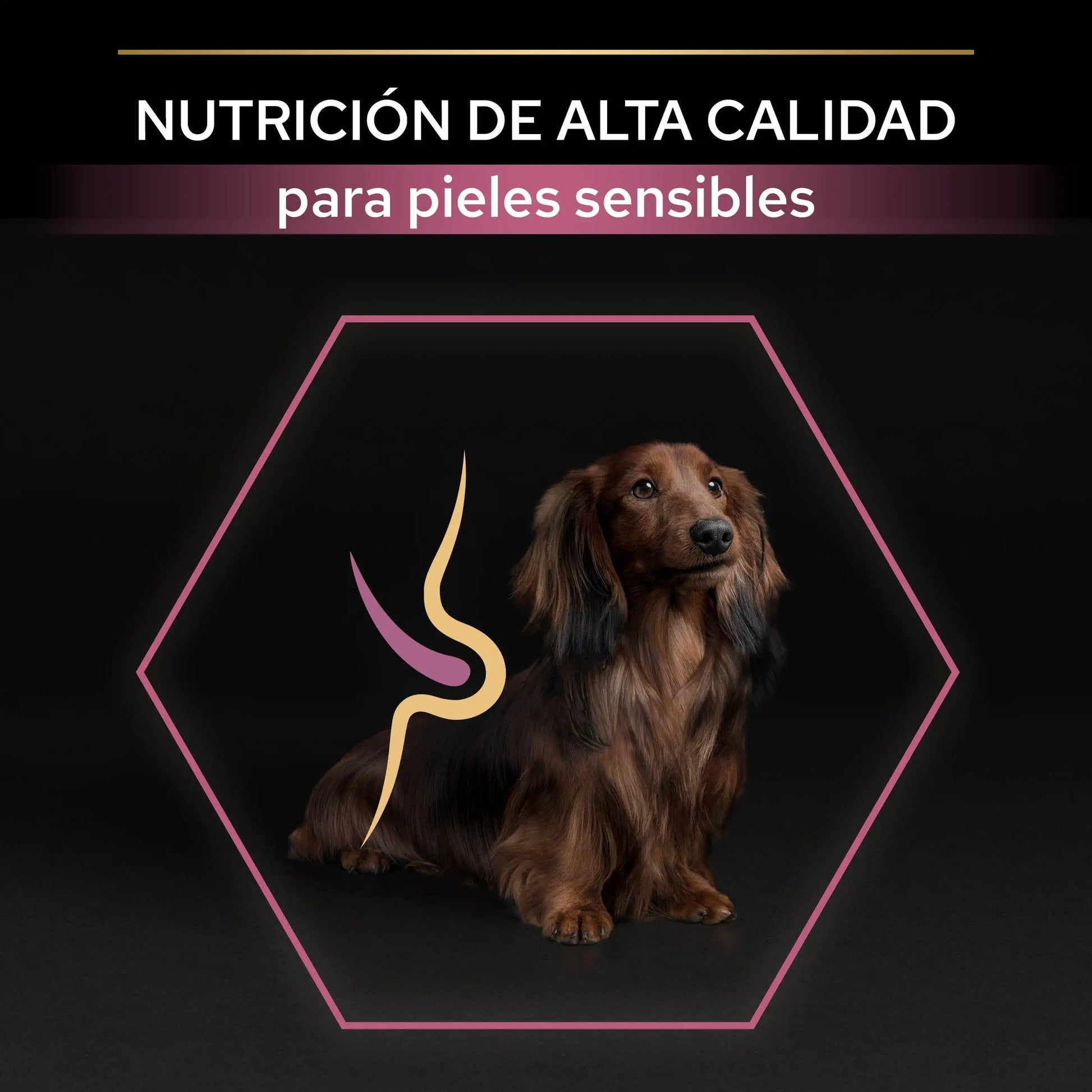Pro Plan Dog Small & Mini Adult Skin Salmón Pienso para Perros PURINA