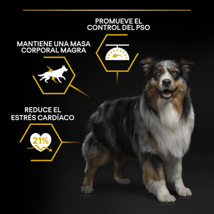 Pro Plan Dog AllSize Adult Light Sterilized Pollo 14 kg PURINA