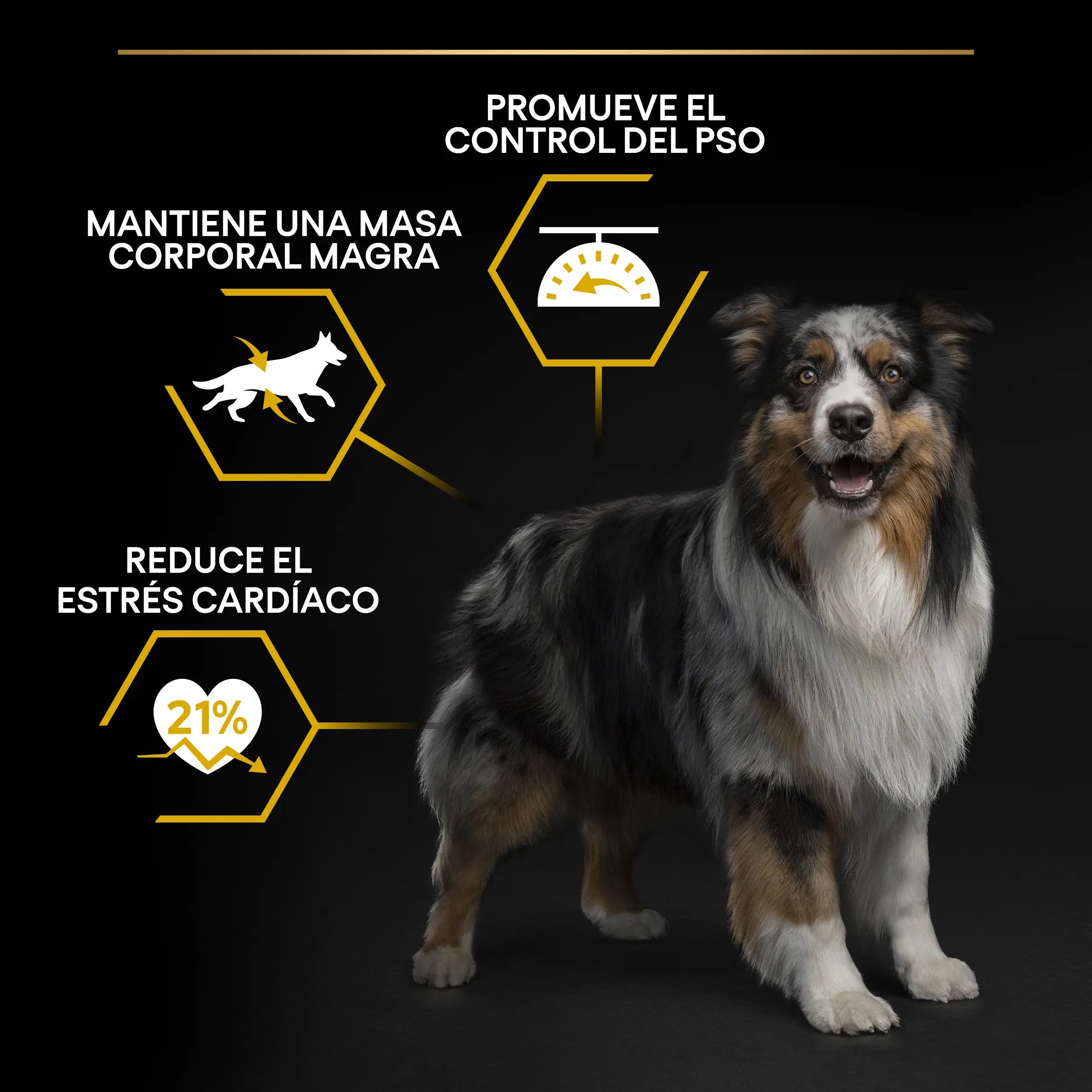 Pro Plan Dog Allsize Adult Light Sterilized Pollo 3 kg PURINA