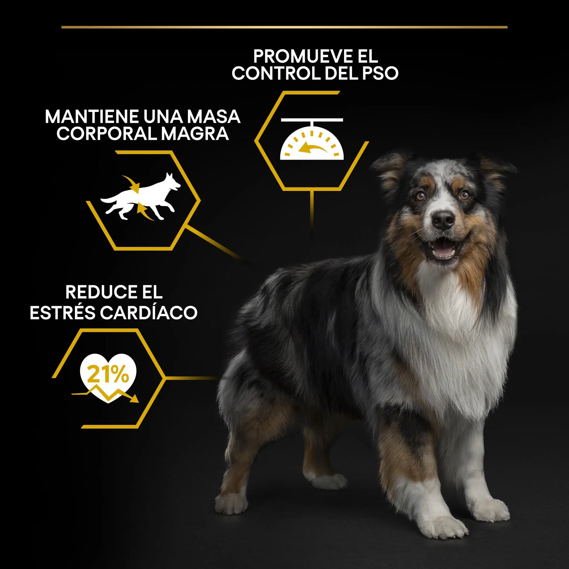 Pro Plan Dog Allsize Adult Light Sterilized Pollo 3 kg PURINA