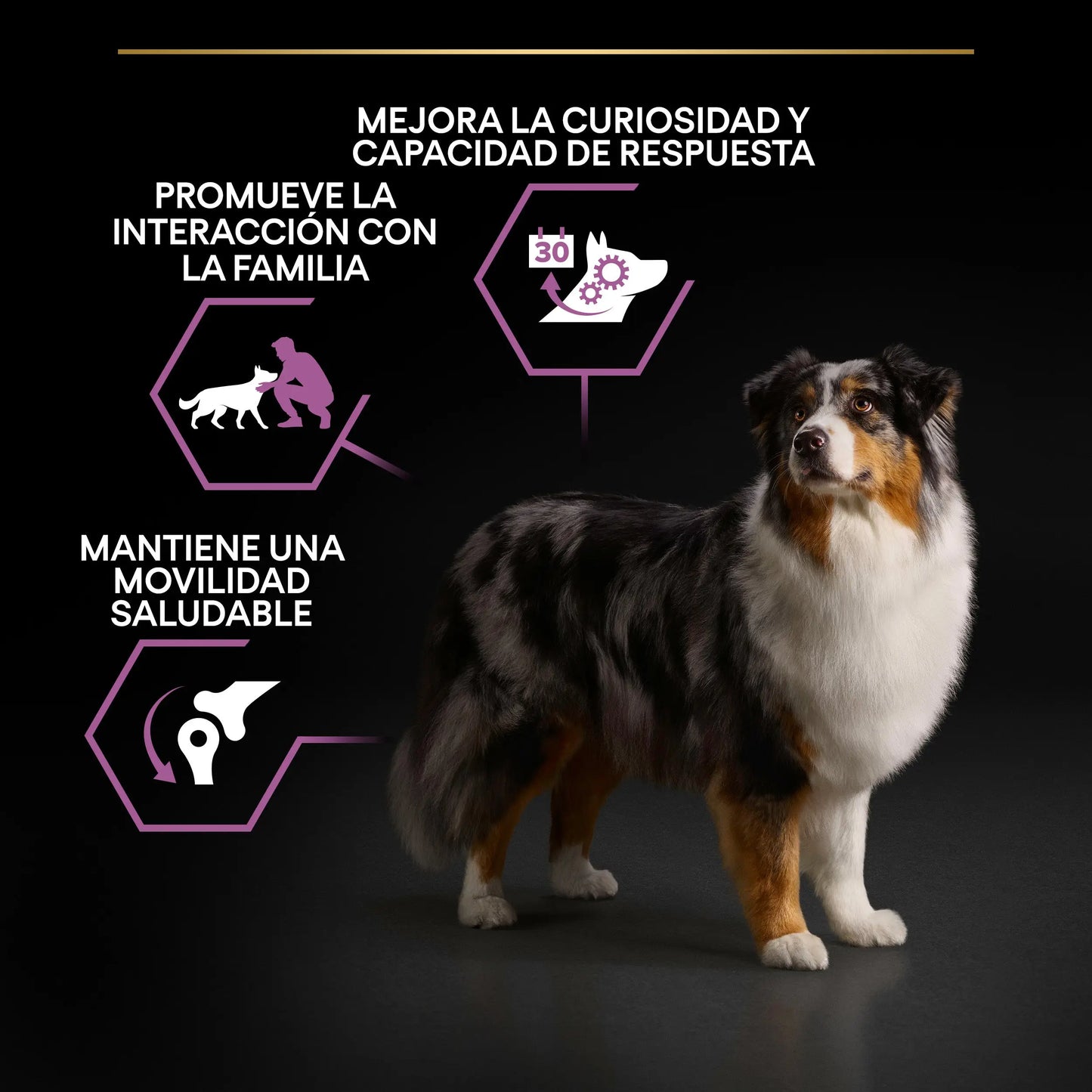 Pro Plan Dog Medium Y Large Adult Agedefen7+ Pollo 3 kg PURINA