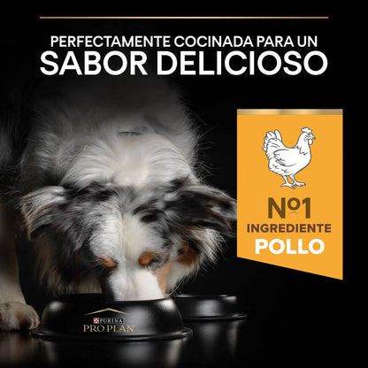 Pro Plan Dog Medium Y Large Adult Agedefen7+ Pollo 3 kg PURINA