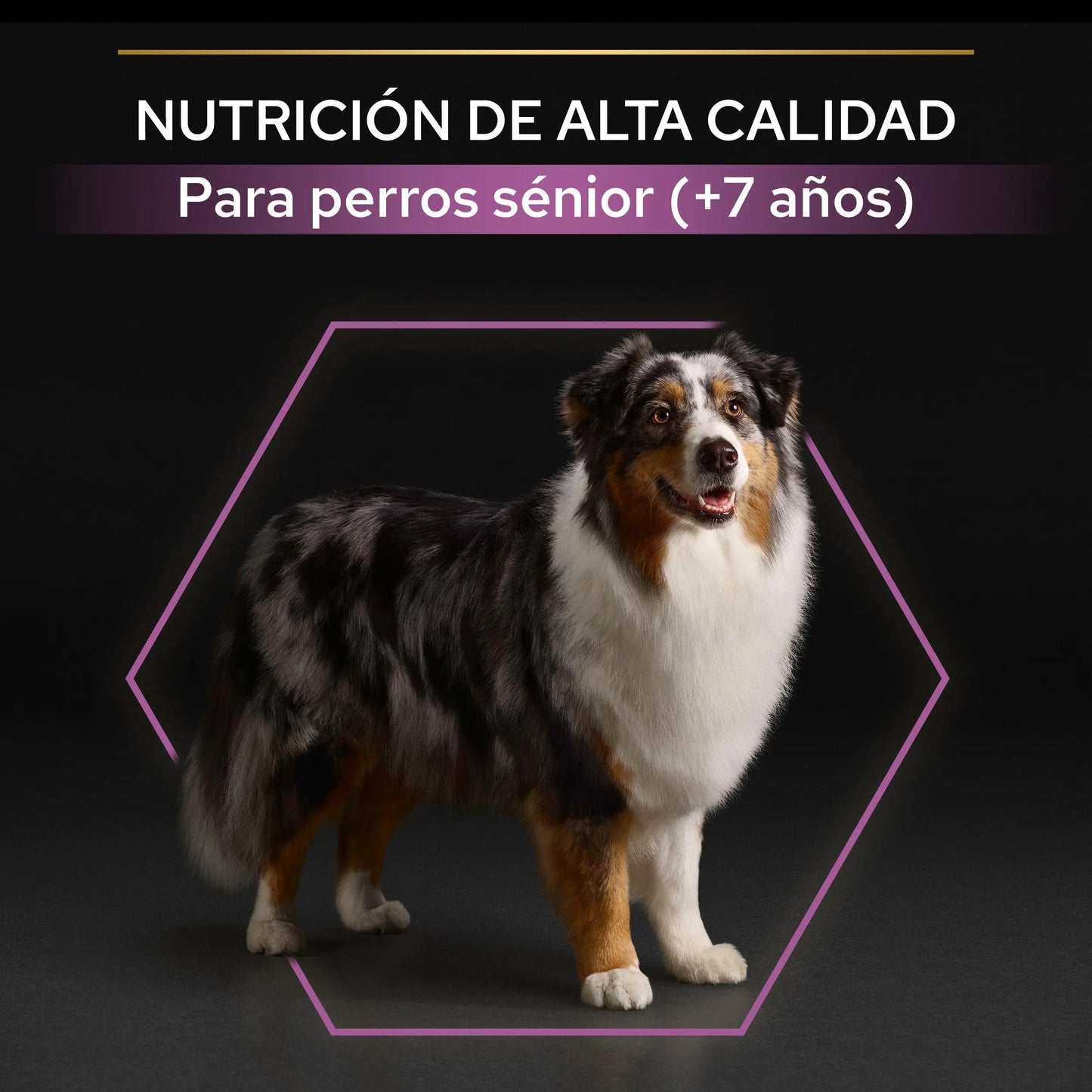 Pro Plan Dog Medium Y Large Adult Agedefen7+ Pollo 3 kg PURINA