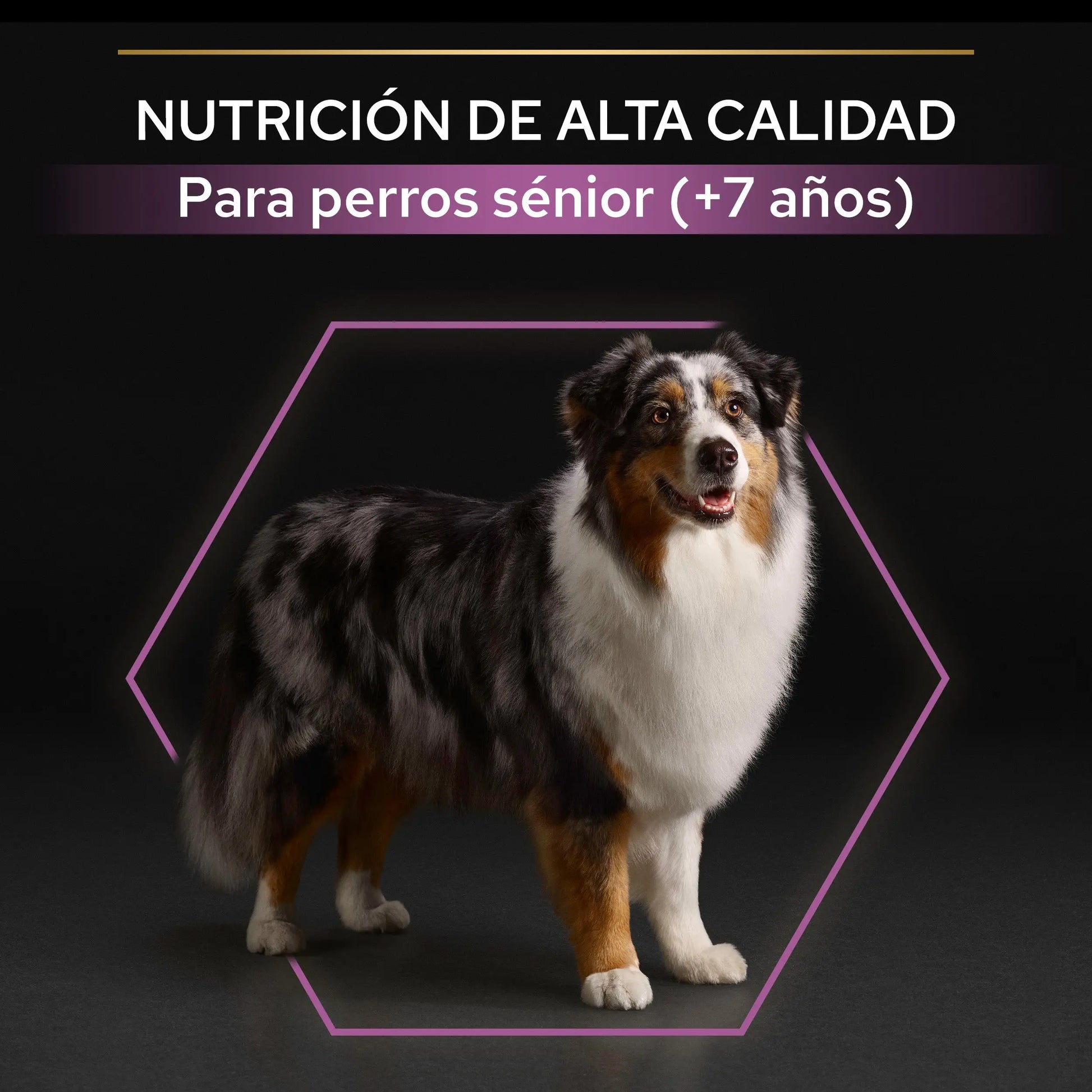 Pro Plan Dog Medium Y Large Adult Agedefen7+ Pollo 3 kg PURINA