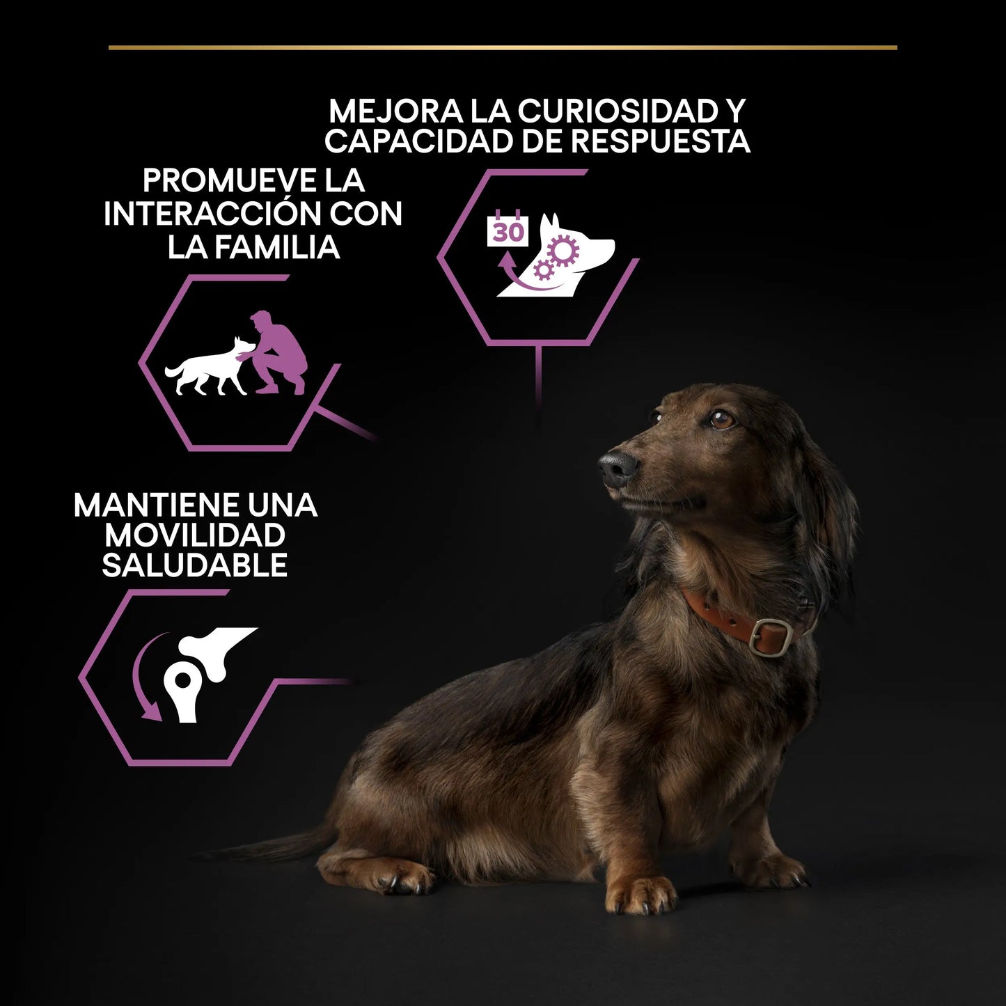 Pro Plan Dog Small Y Mini Adult Agedefen 9+ Pollo 3 kg PURINA