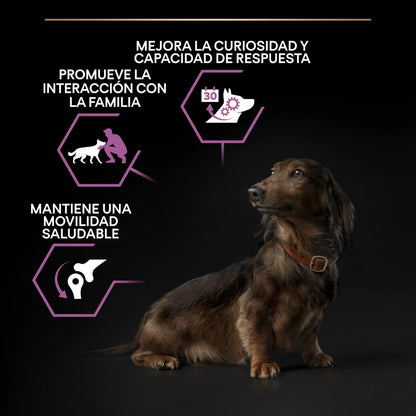 Pro Plan Dog Small Y Mini Adult Agedefen 9+ Pollo 3 kg PURINA