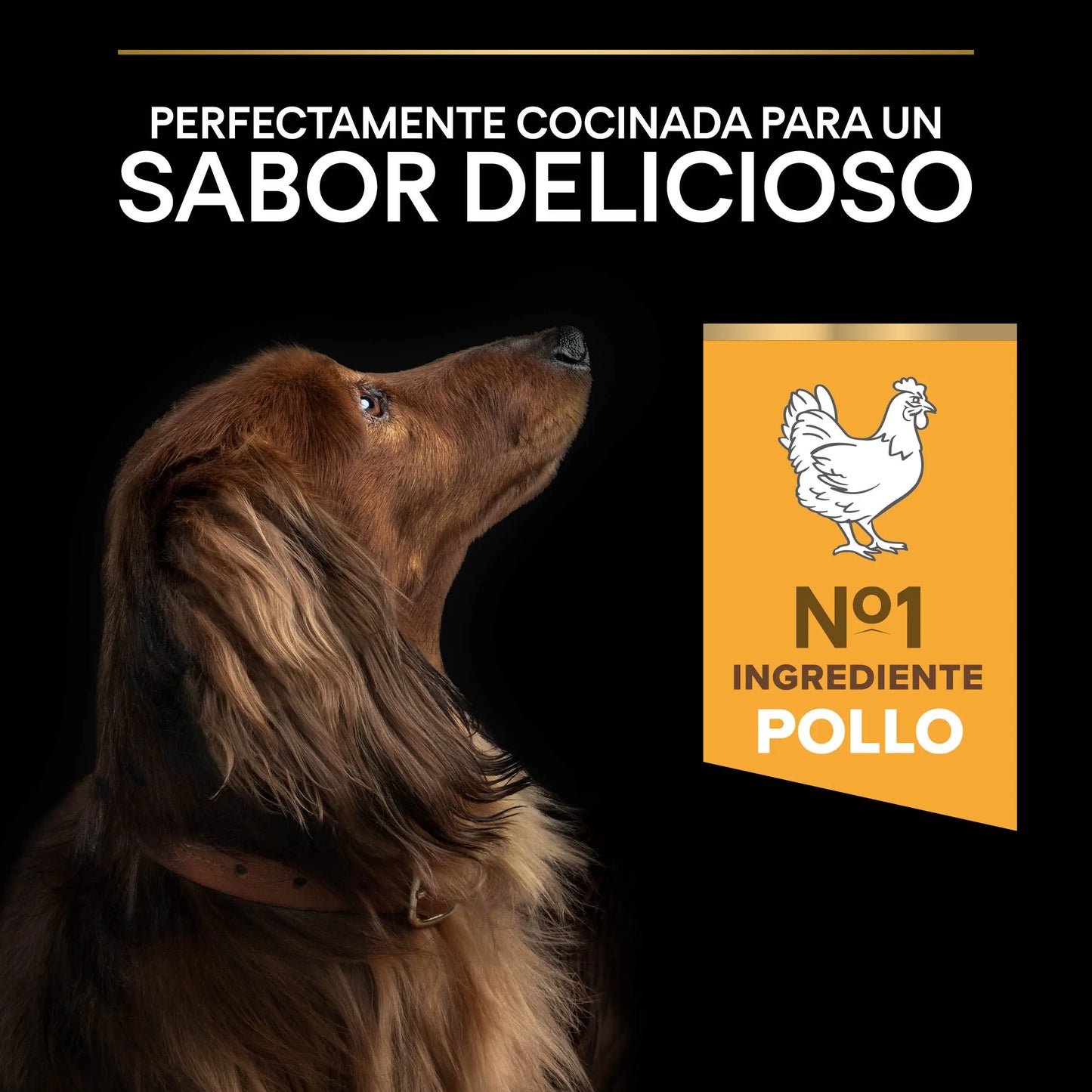 Pro Plan Dog Small Y Mini Adult Agedefen 9+ Pollo 3 kg PURINA