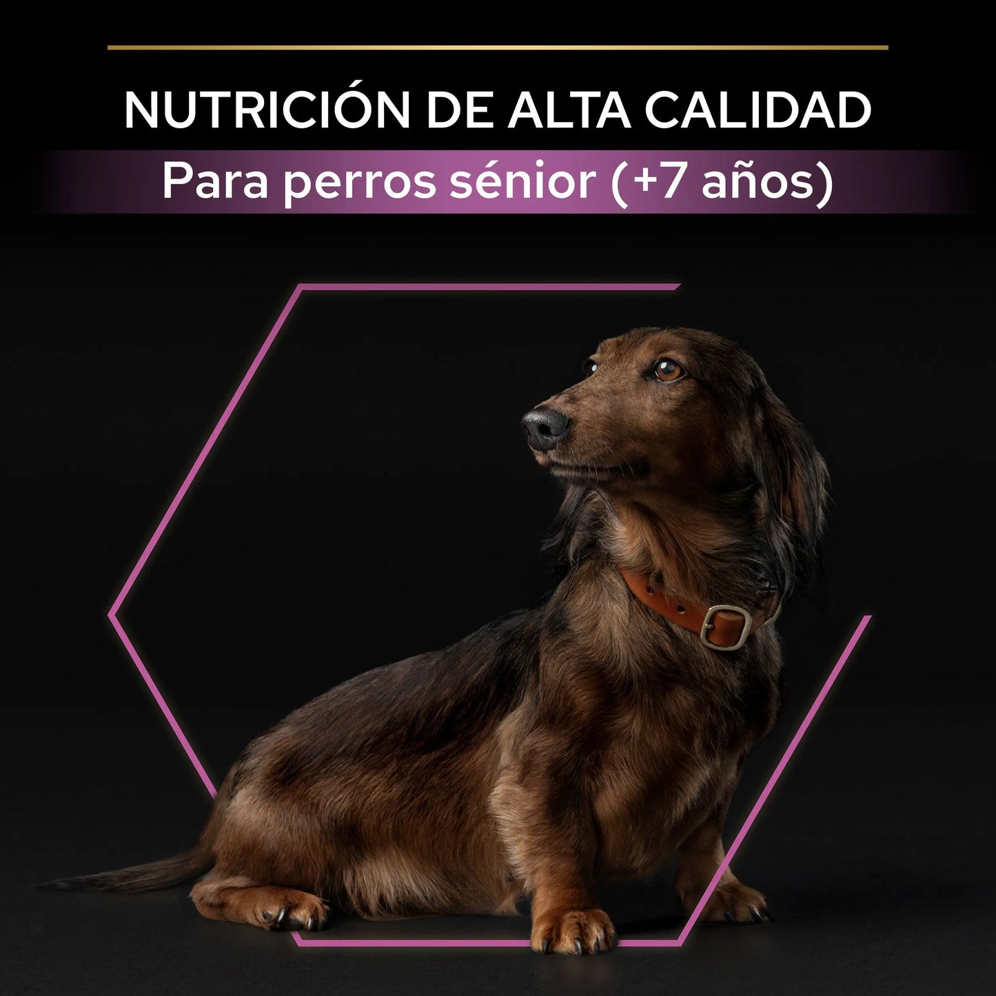 Pro Plan Dog Small Y Mini Adult Agedefen 9+ Pollo 3 kg PURINA