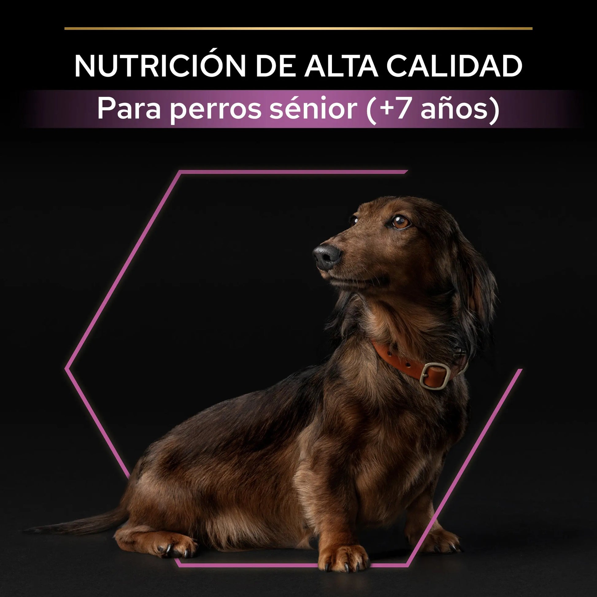 Pro Plan Dog Small Y Mini Adult Agedefen 9+ Pollo 3 kg PURINA