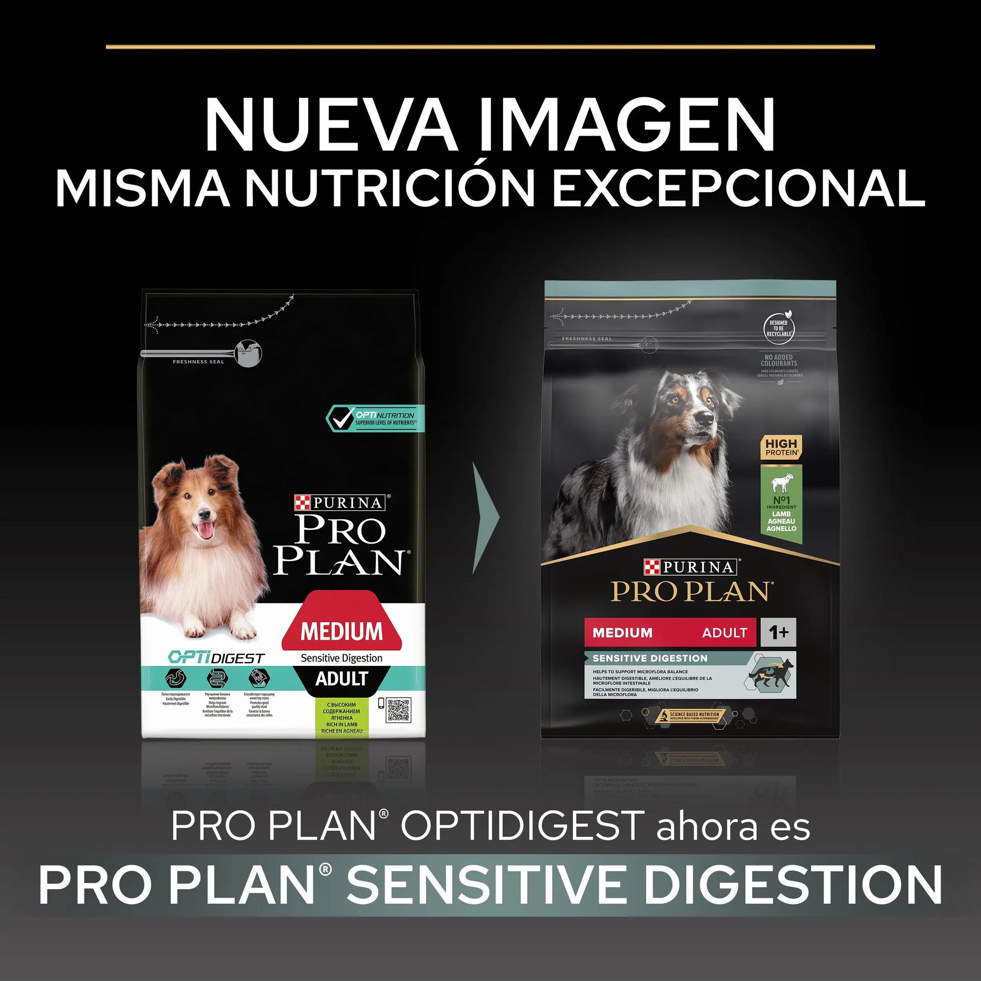 Pro Plan Dog Medium Adult Digest Cordero 3 kg PURINA