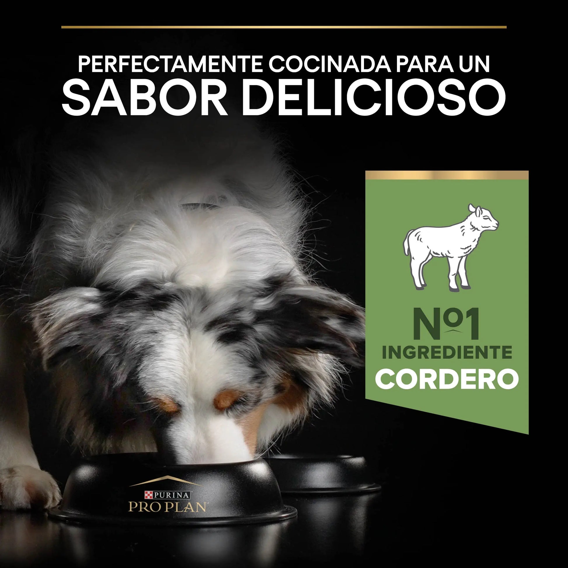 Pro Plan Dog Medium Adult Digest Cordero 3 kg PURINA
