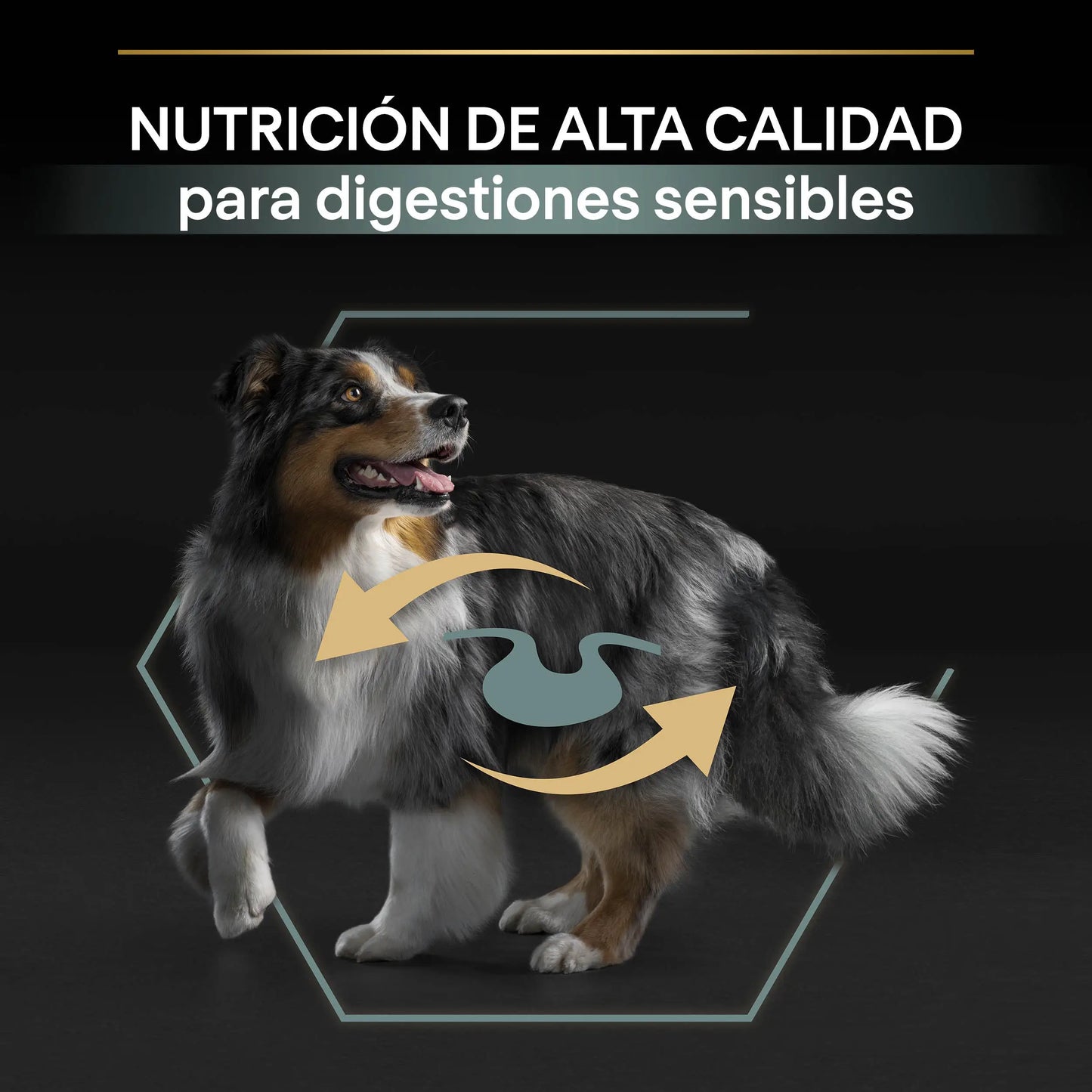 Pro Plan Dog Medium Adult Digest Cordero 3 kg PURINA